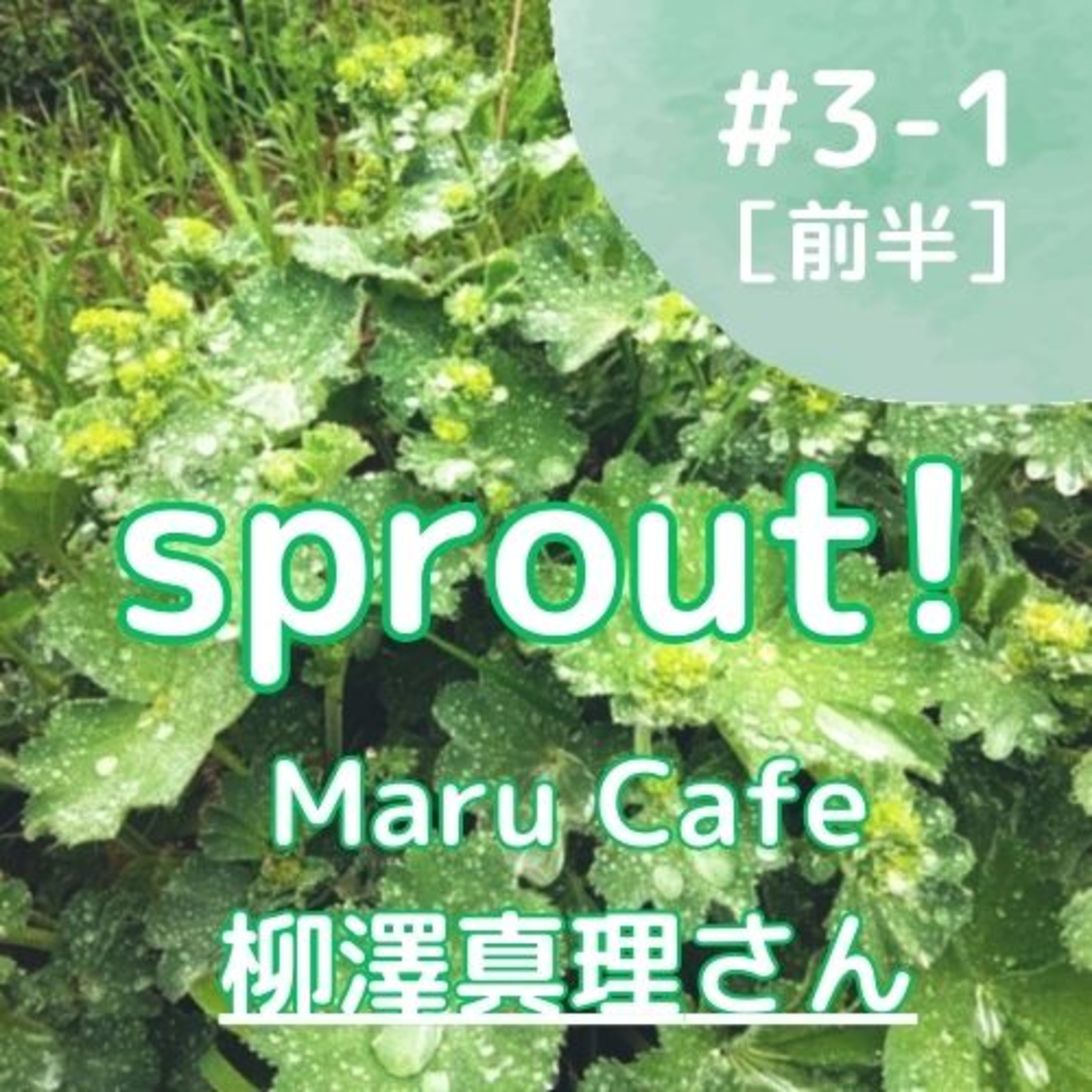 sprout!
