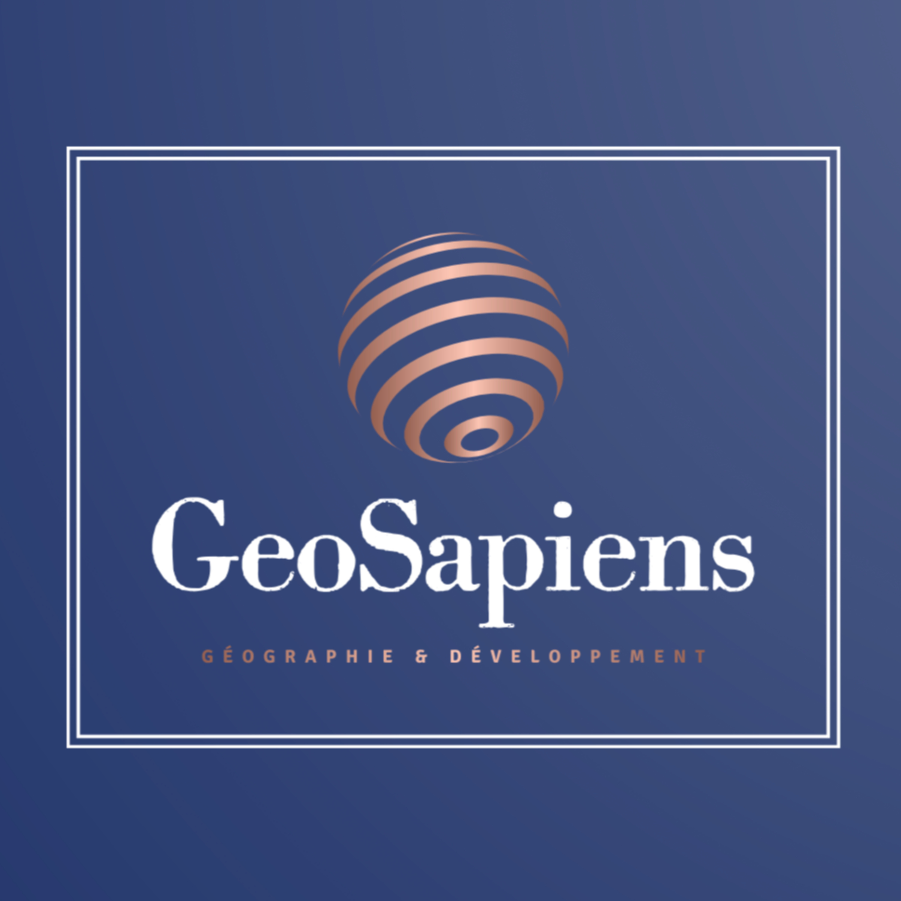 Un essor pour les Smart Cities ? Cas de Singapour 