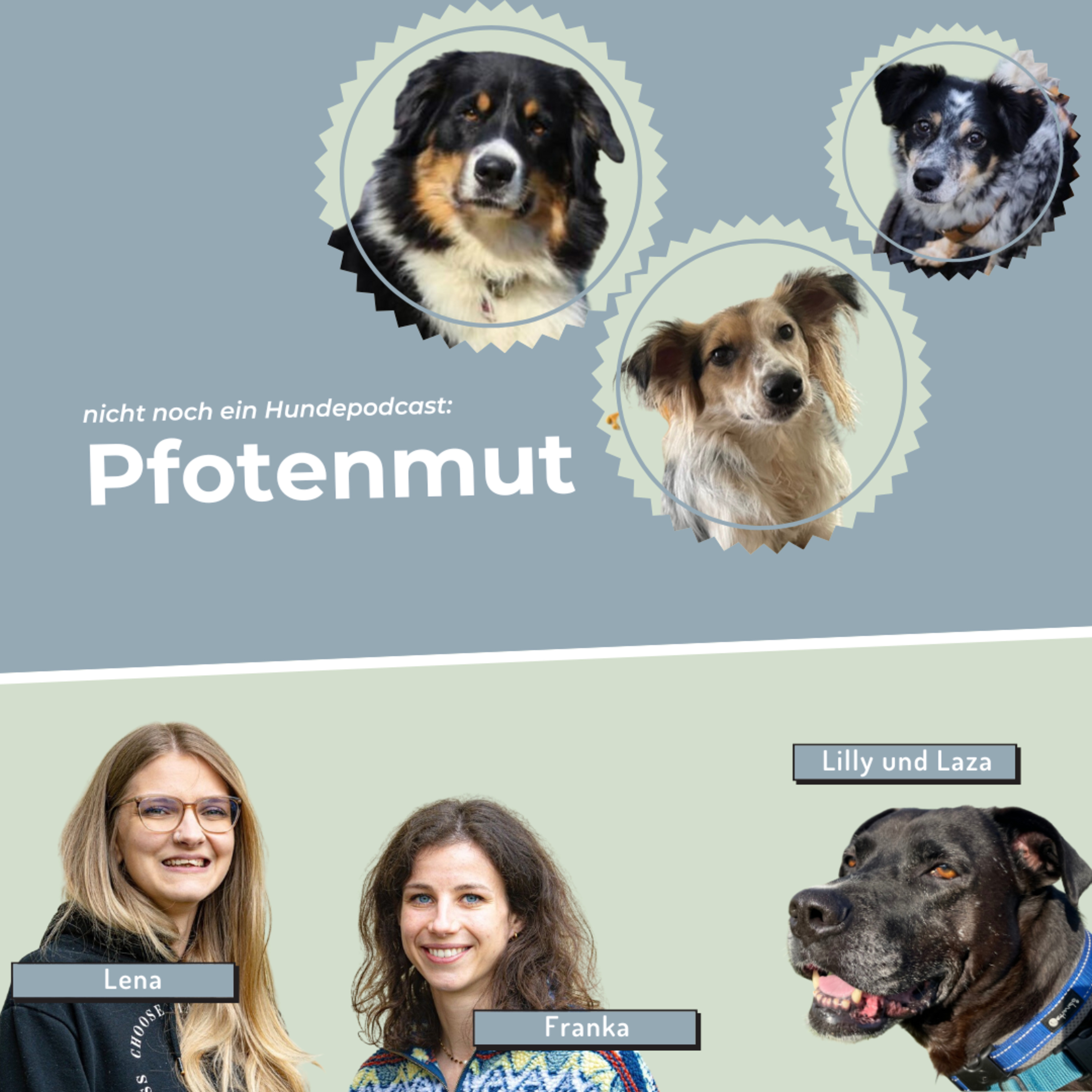 Pfotenmut - Nicht noch ein Hundepodcast
