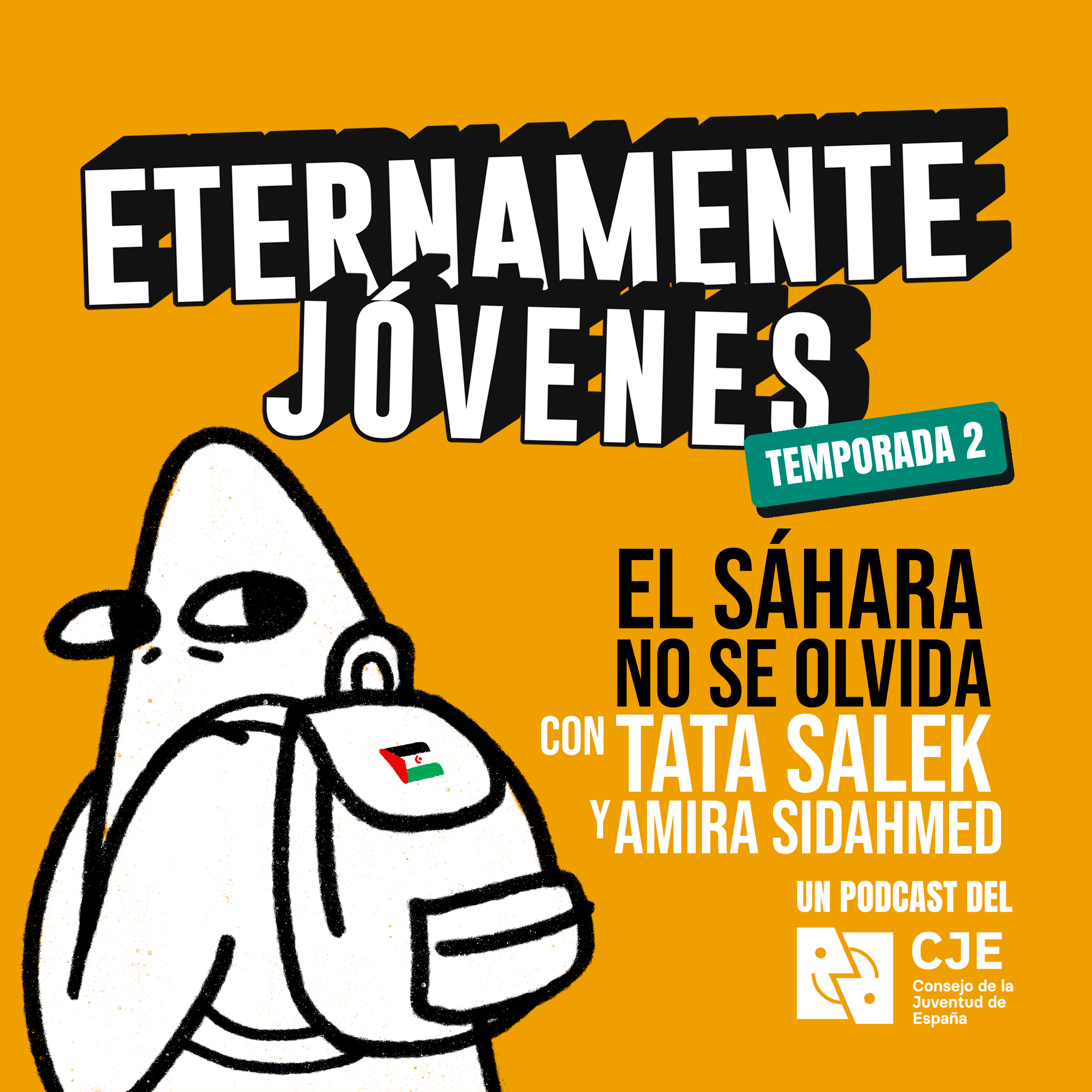 El Sahara no se olvida episode artwork