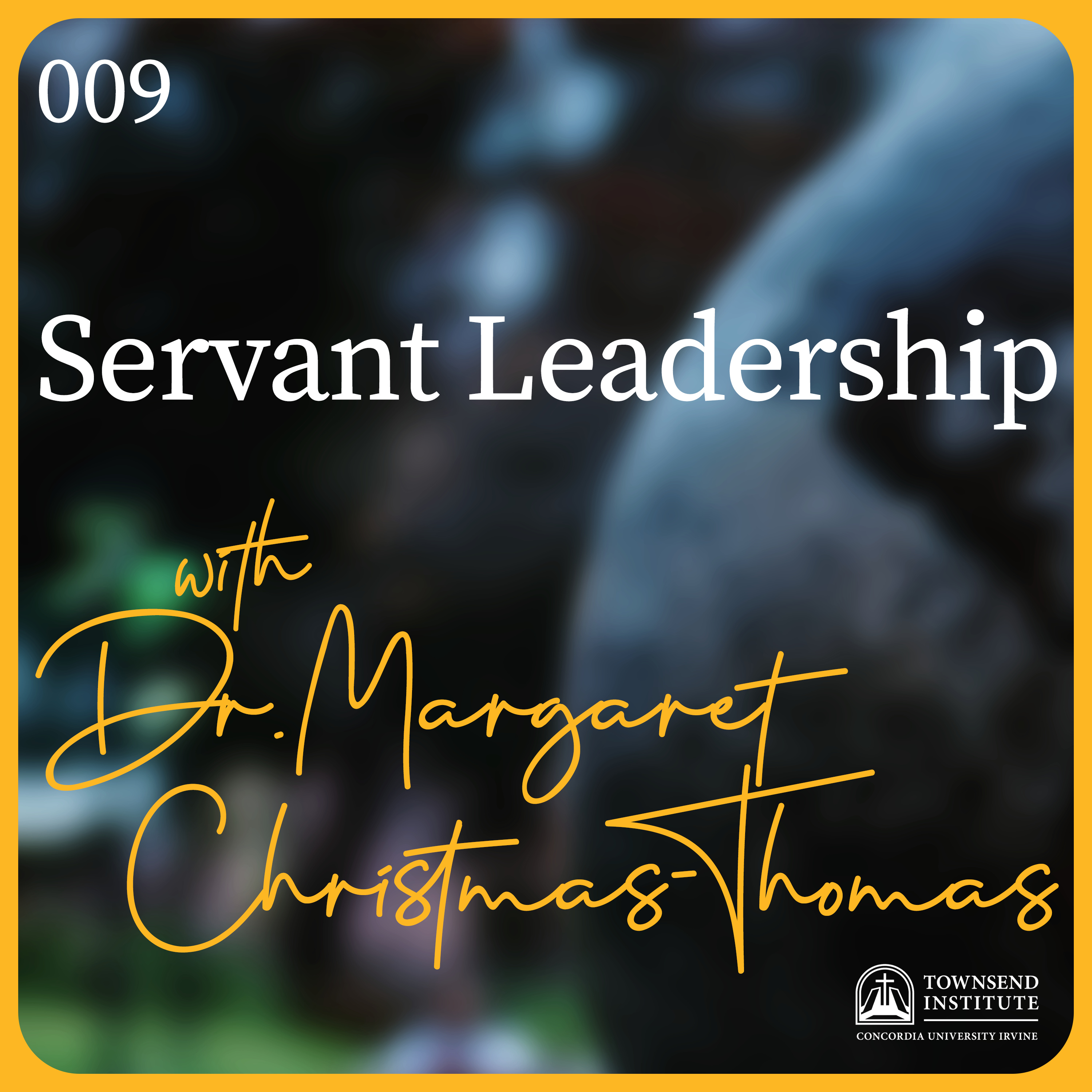 Townsend Institute Podcast Series