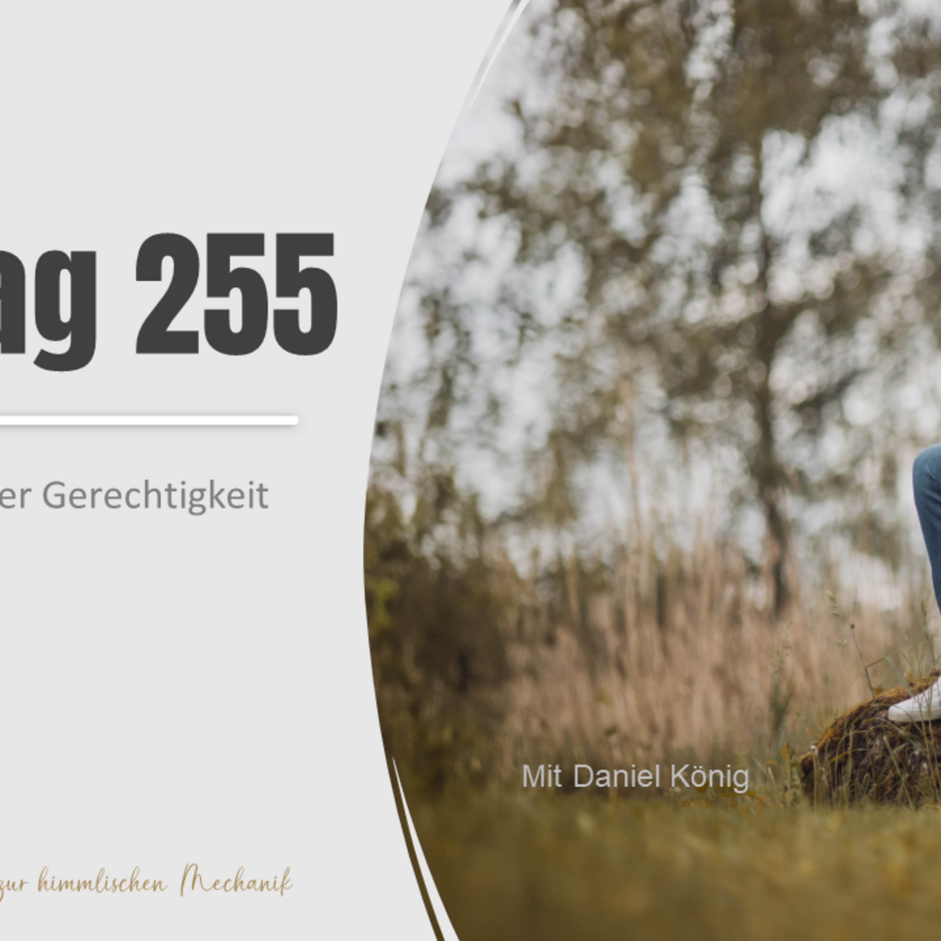 Tag 255 in der Falle der Gerechtigkeit episode artwork