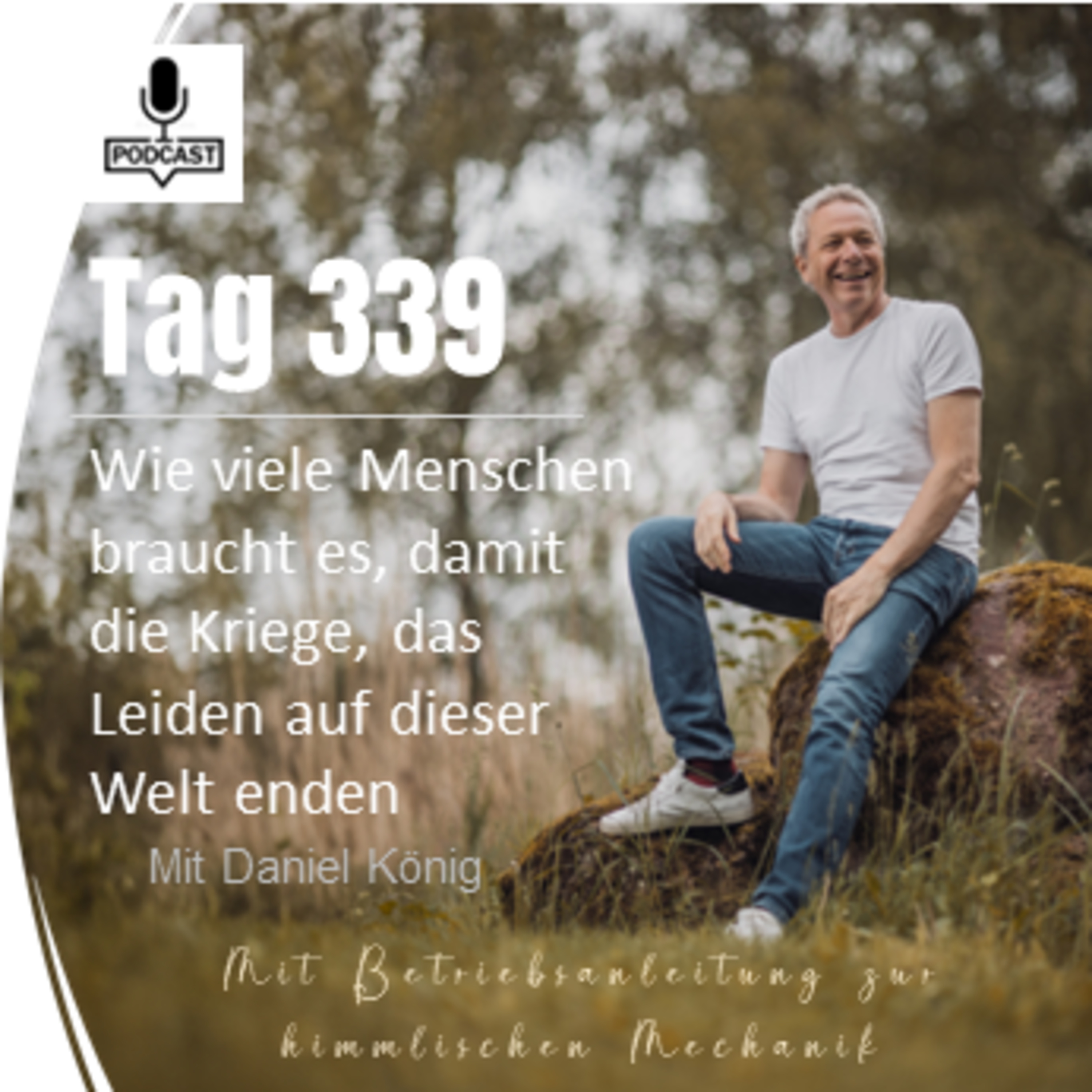 Tag 339 Wie viele Menschen braucht es, damit die Kriege, das Leiden auf dieser Welt enden? episode artwork