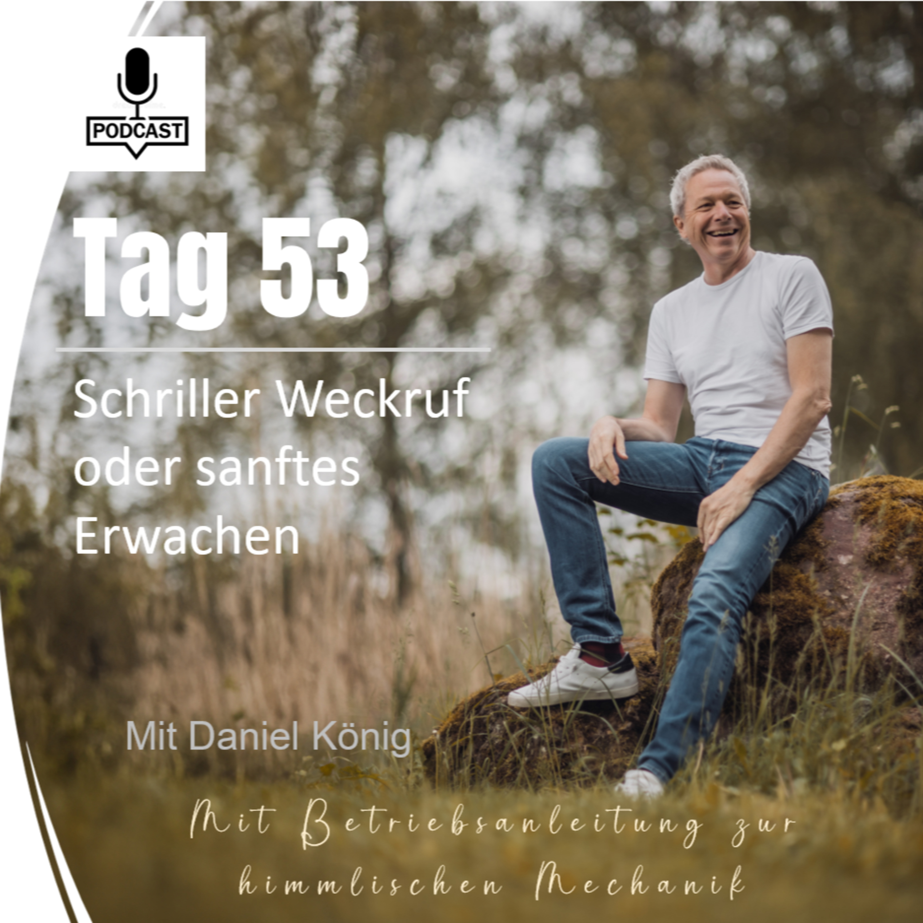 Tag 53 Schriller Weckruf oder sanftes Erwachen episode artwork