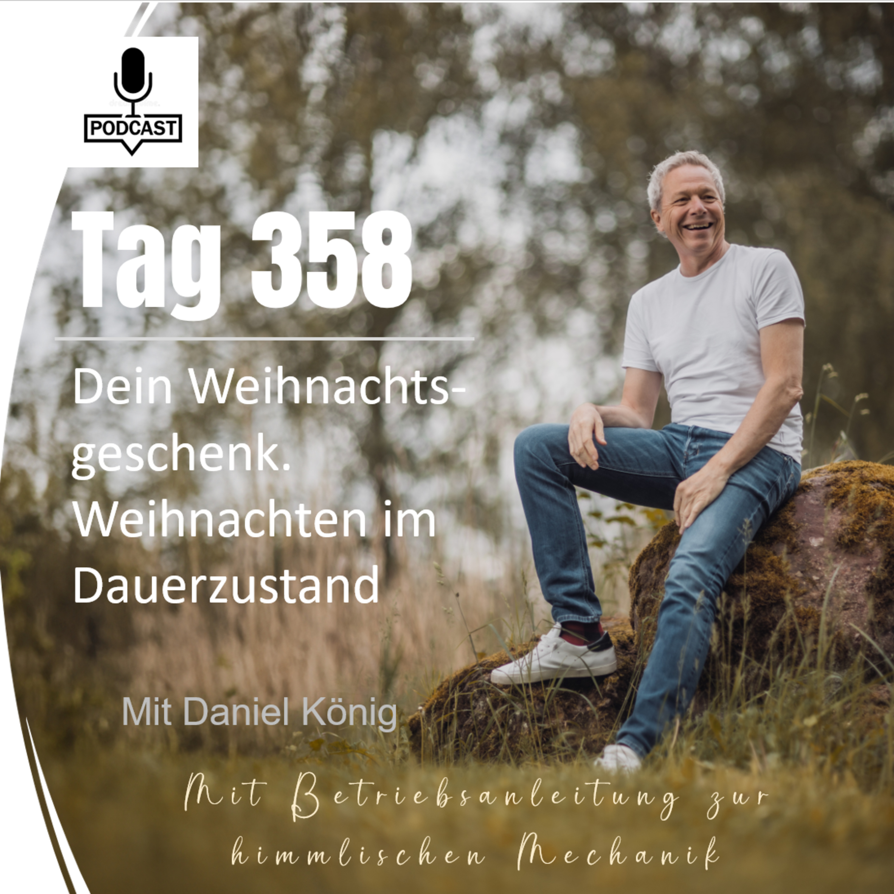 Tag 358 Dein Weihnachtsgeschenk. Weihnachten im Dauerzustand episode artwork