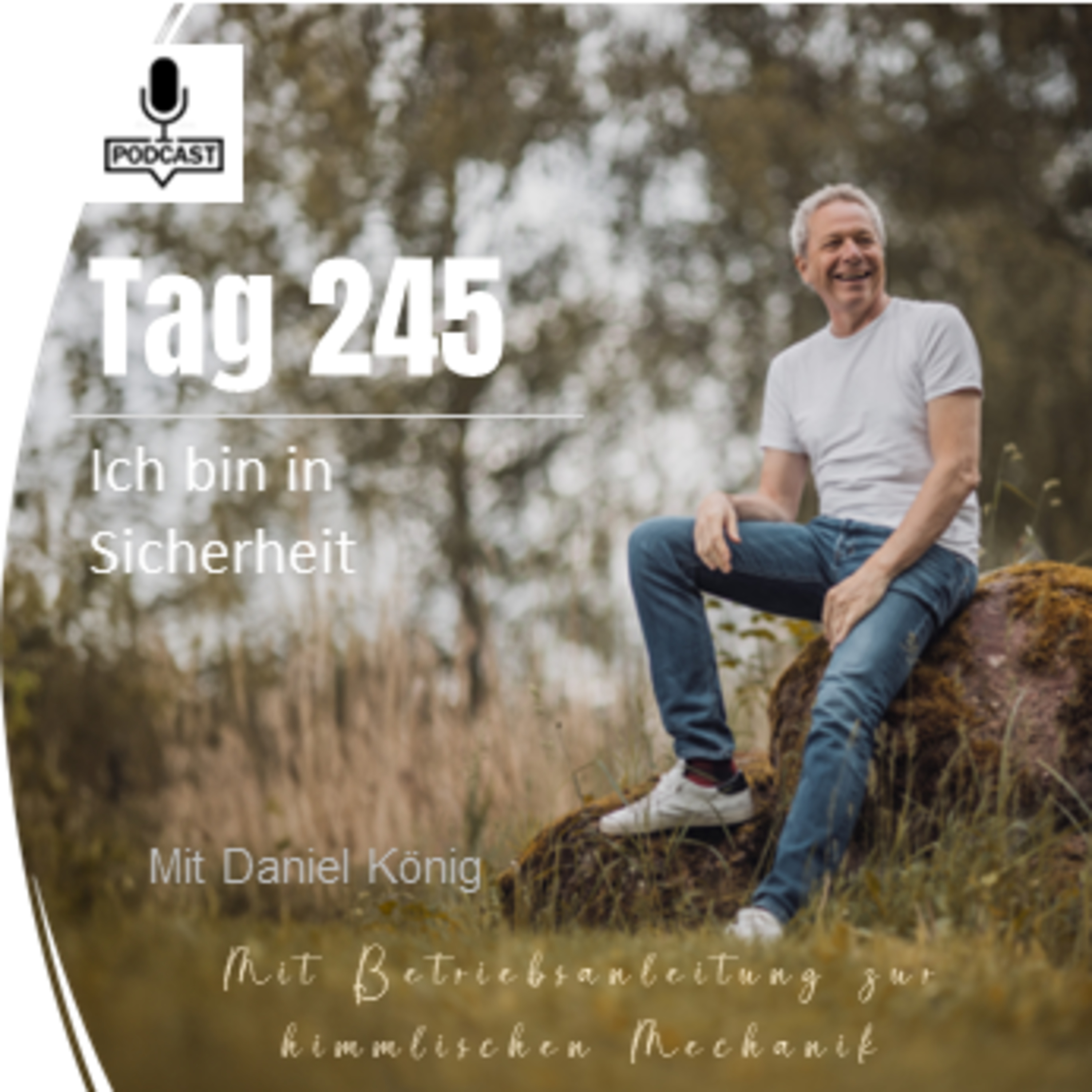 Tag 245 Ich bin in Sicherheit episode artwork