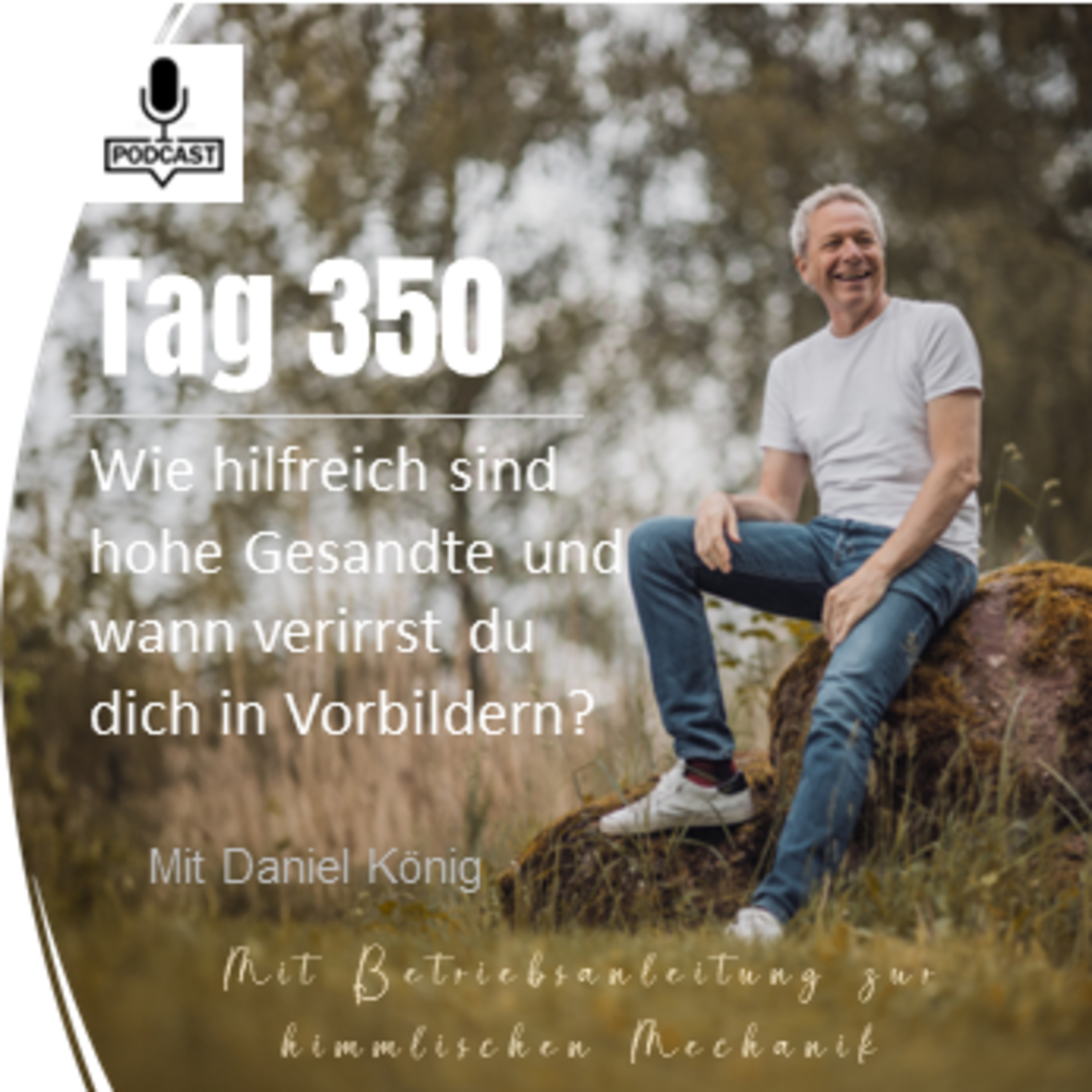 Tag 350 Wie hilfreich sind hohe Gesandte und wann verirrst du dich in Vorbildern episode artwork