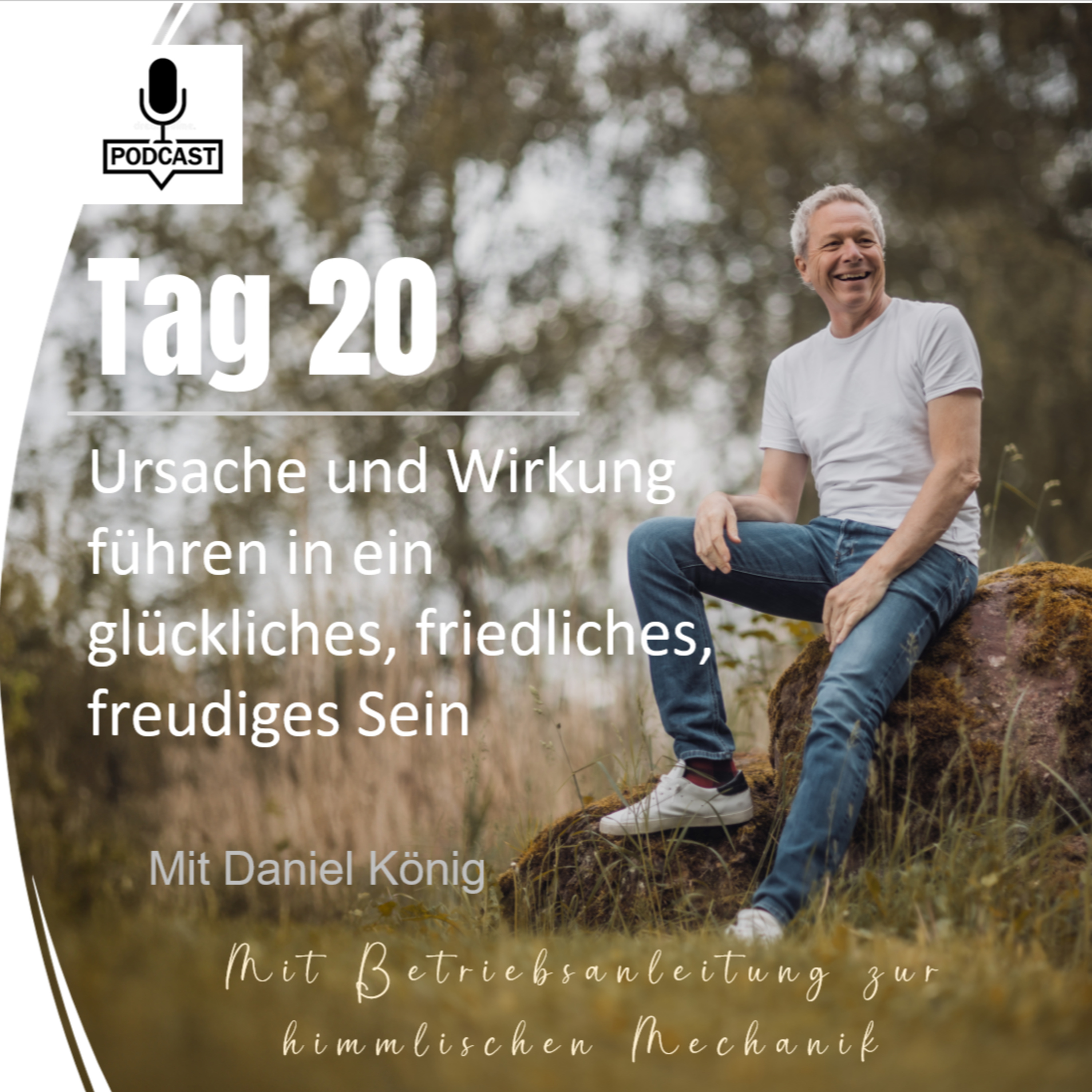 Tag 20 Ursache und Wirkung führen in ein glückliches, friedliches, freudiges Sein episode artwork