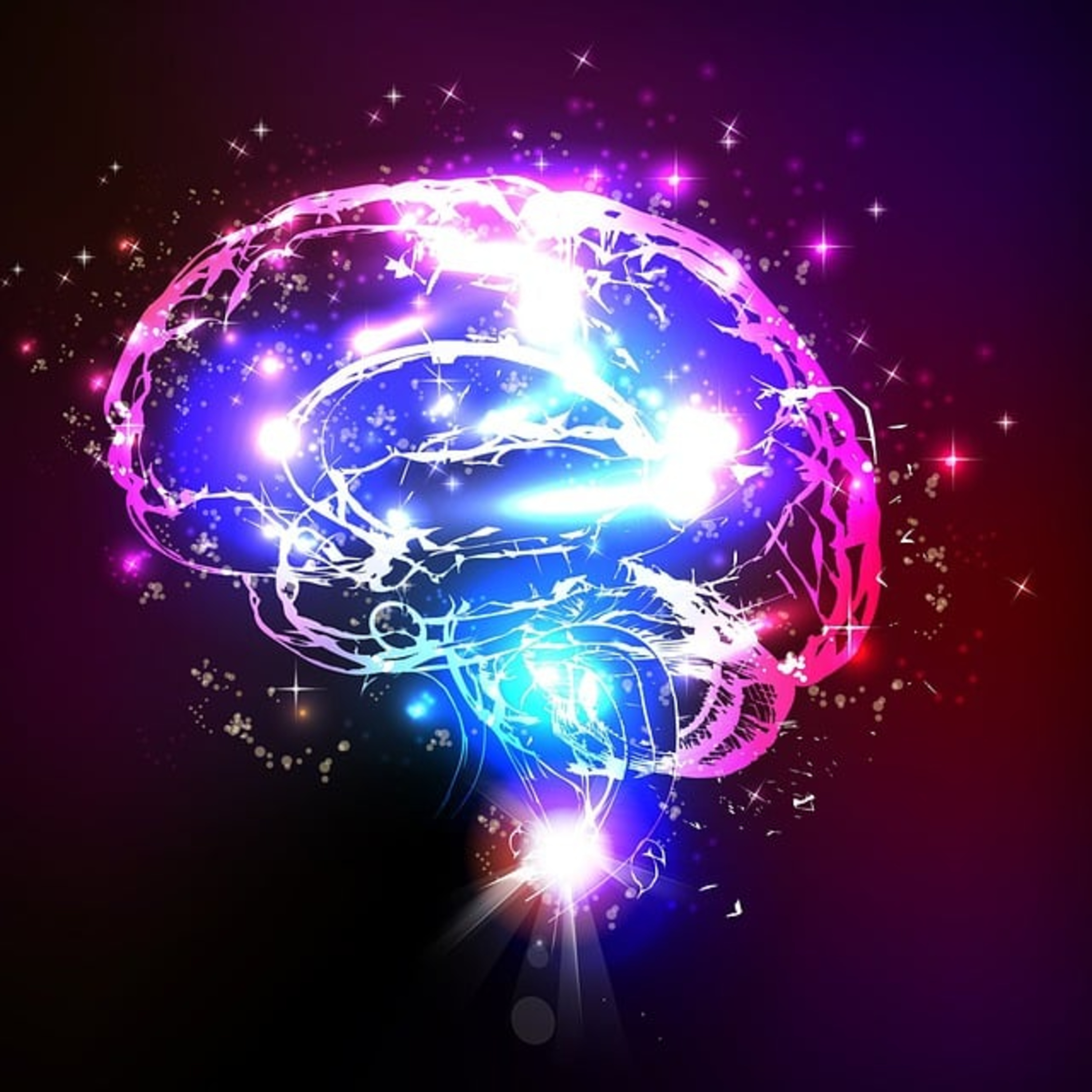 Global hypoxic-ischemic brain damage in dogs and cats episode artwork