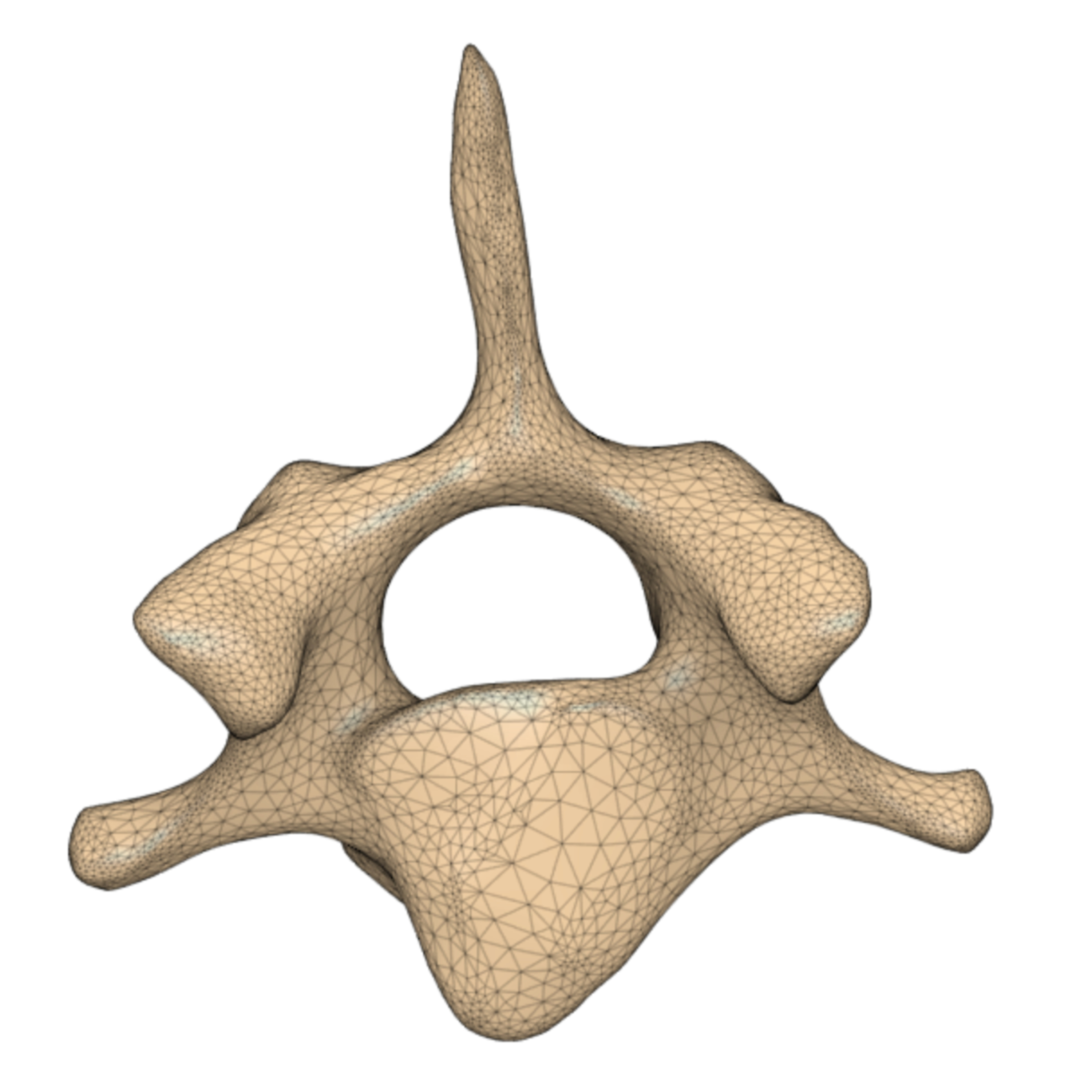 3D Printing & Veterinary Neurosurgery episode artwork