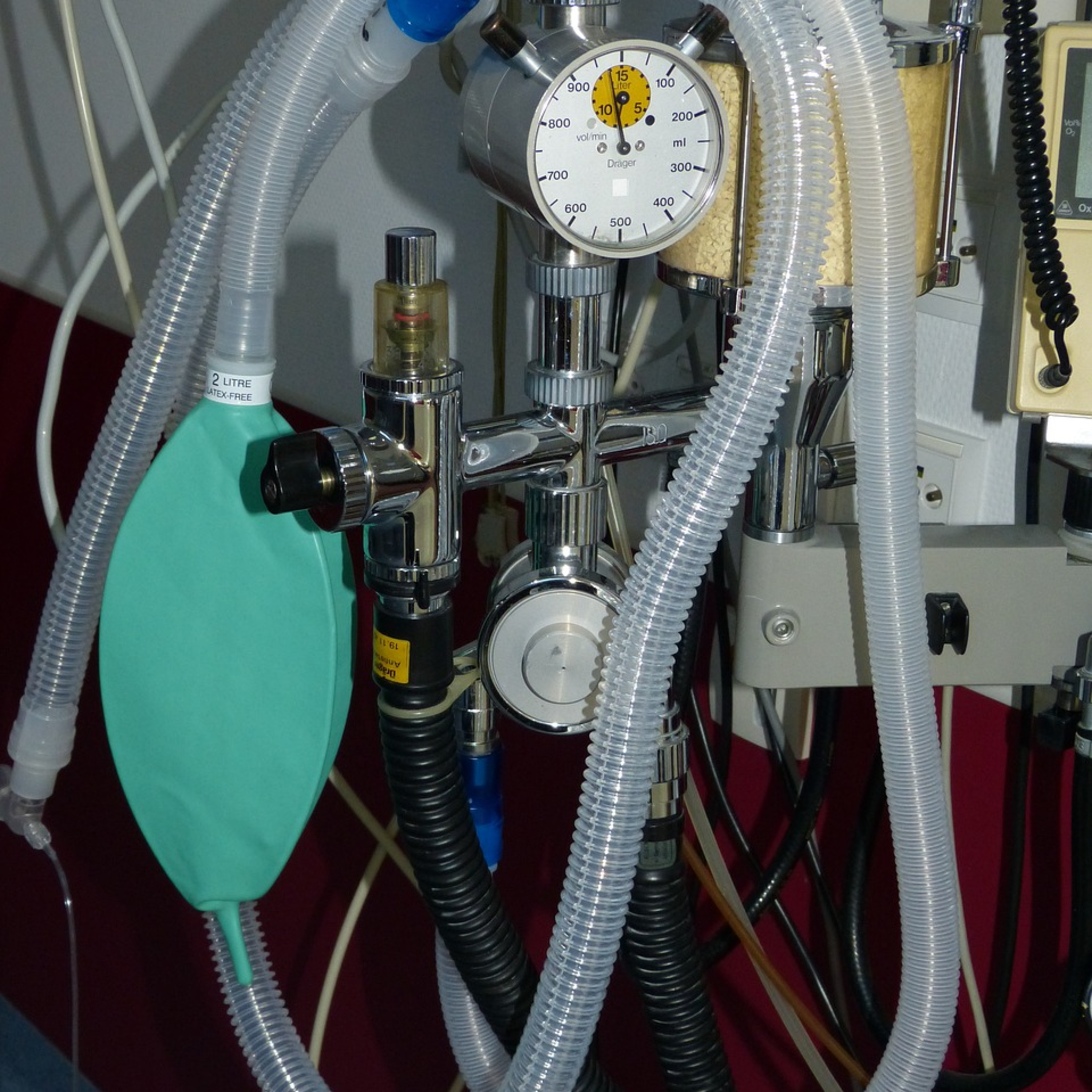 Considerations for Neuroanesthesia in the Veterinary Patient episode artwork