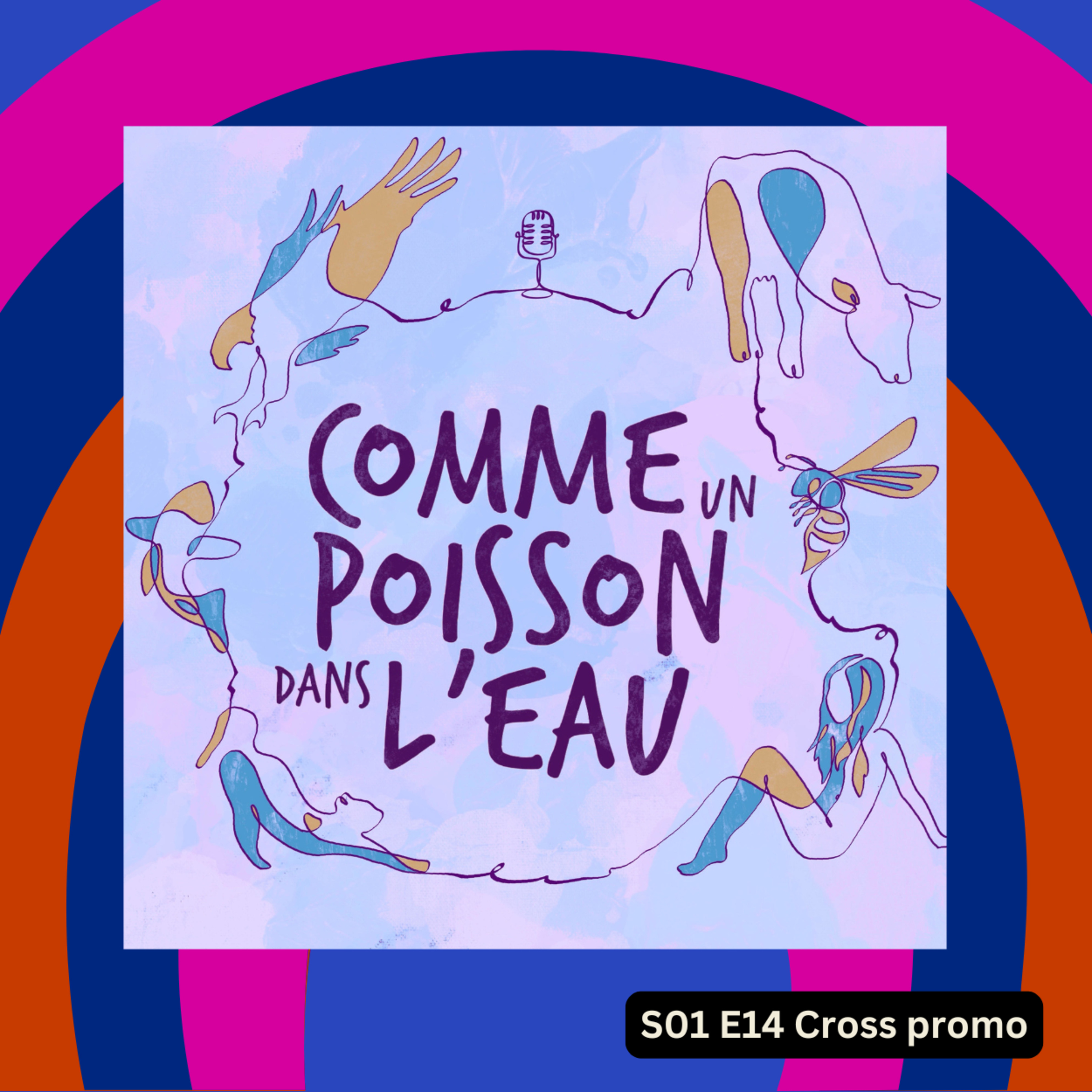 S01 E14 Cross promo Podcast Comme un poisson dans l'eau avec Nora Bouazzouni