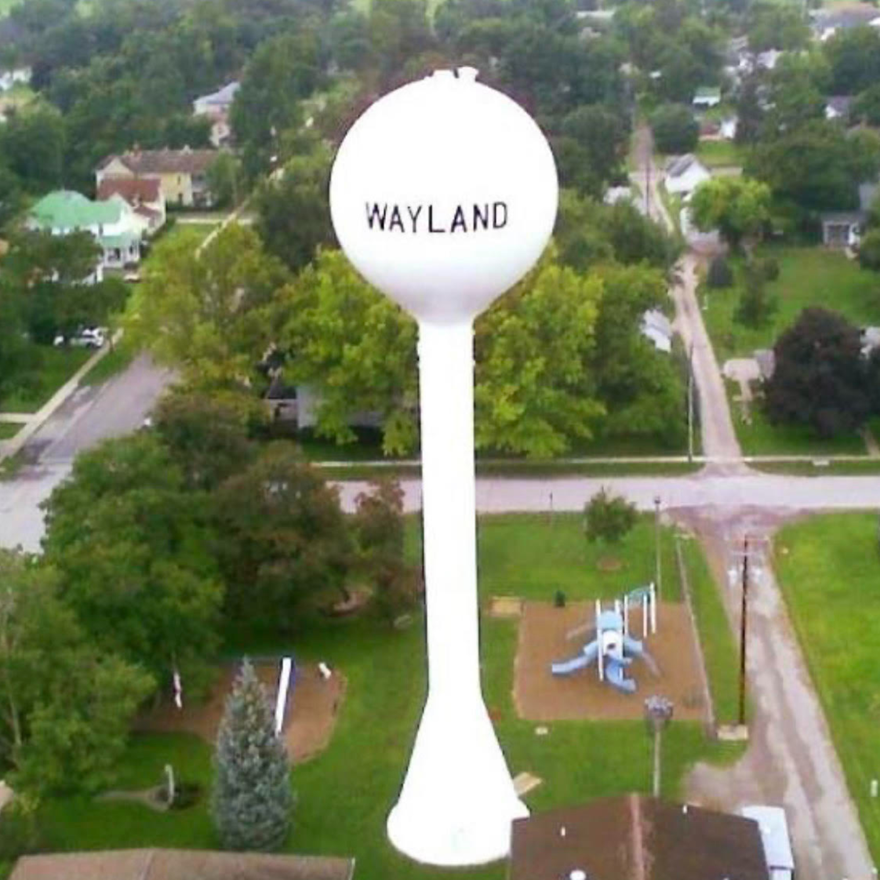 "Bugs In A Bag" Saving Millions of Dollars in Wayland, Iowa