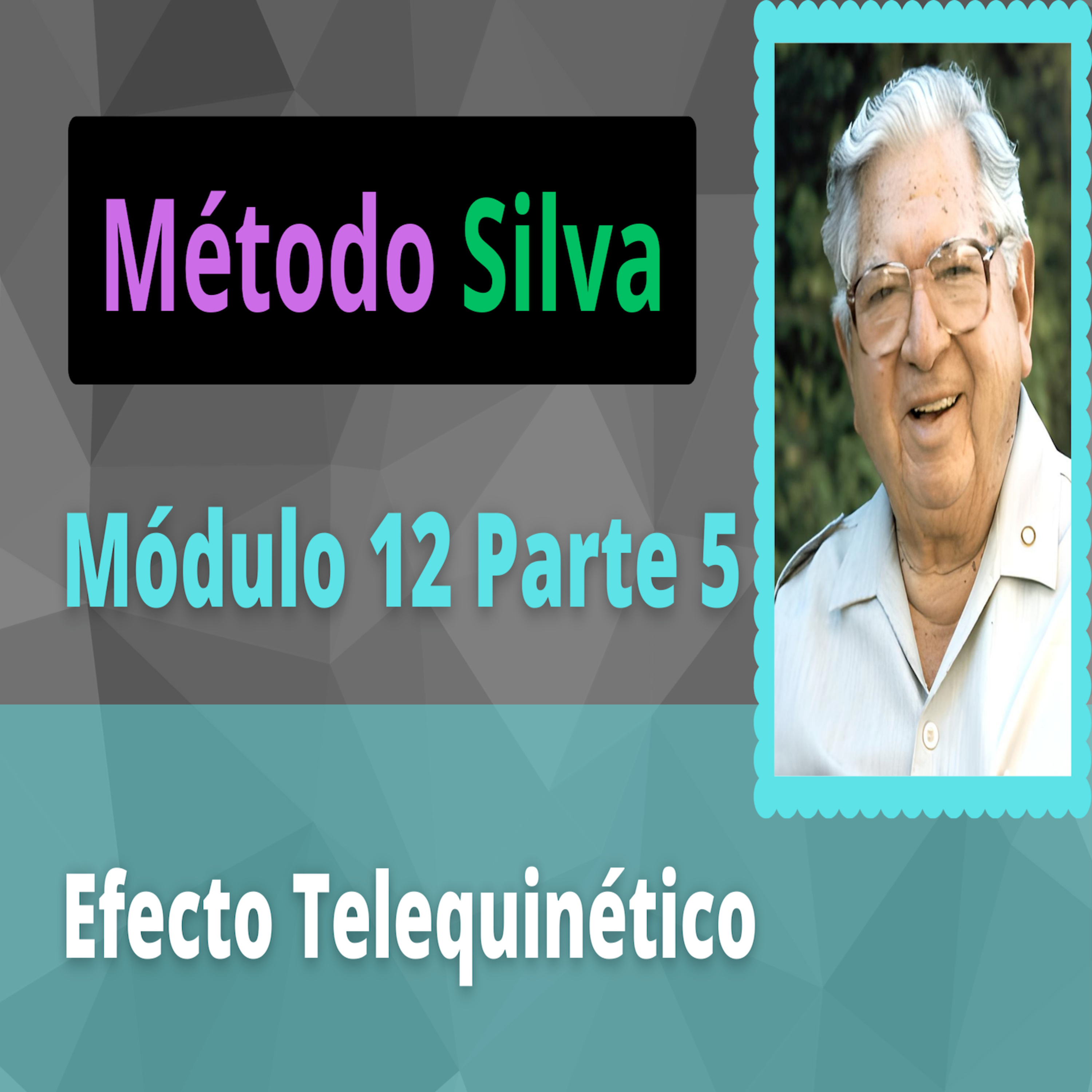 Método Silva