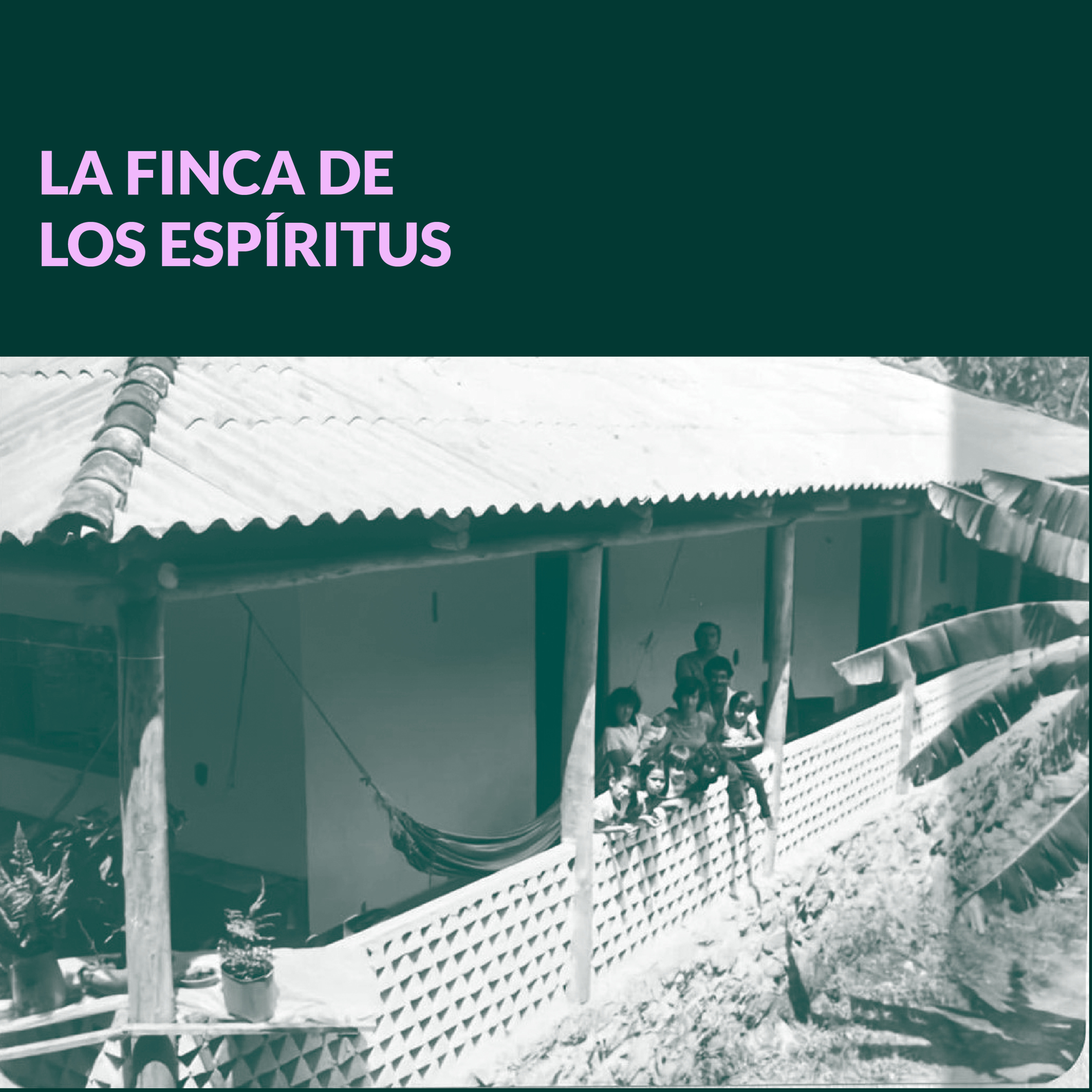 Enigmas familiares