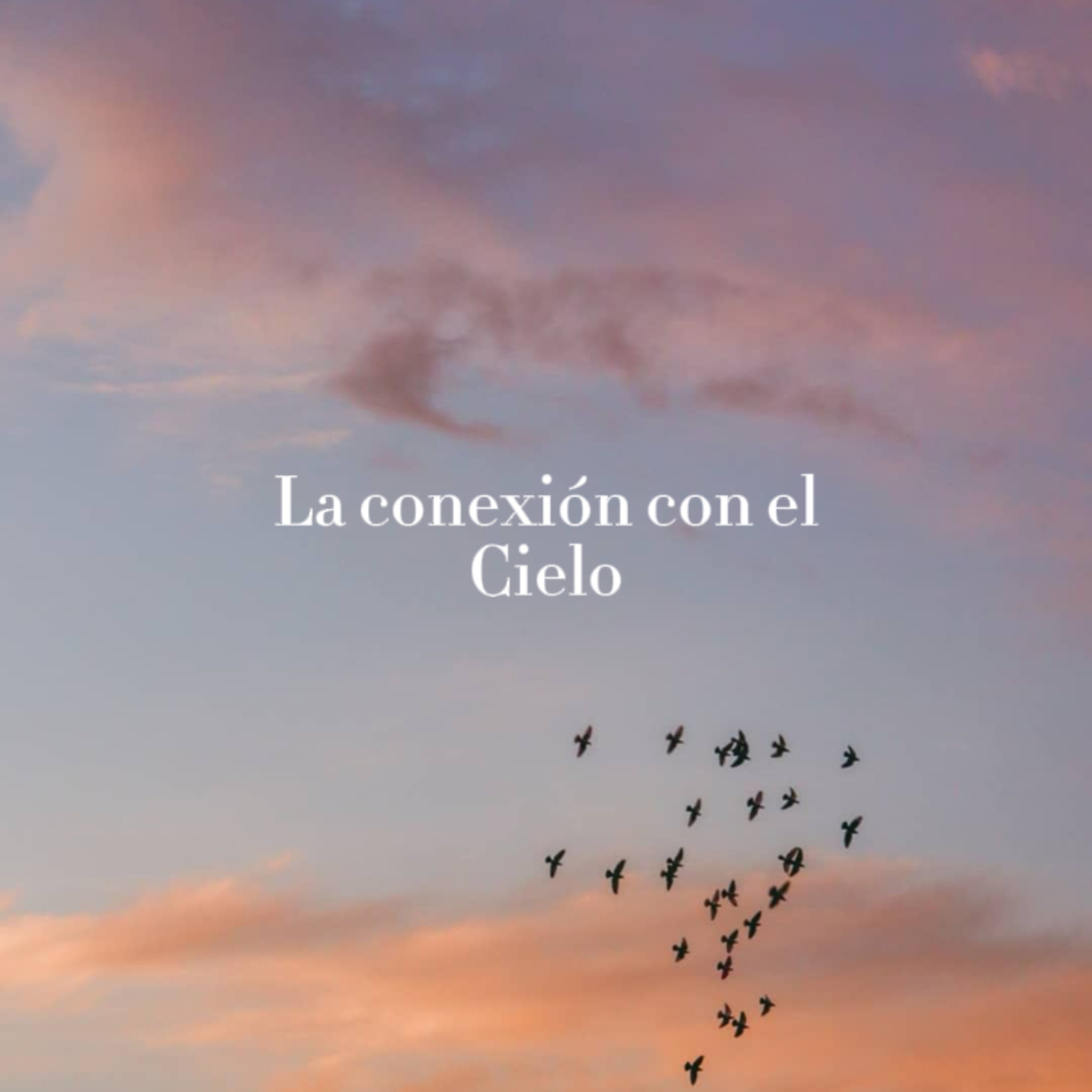 Florecer desde adentro