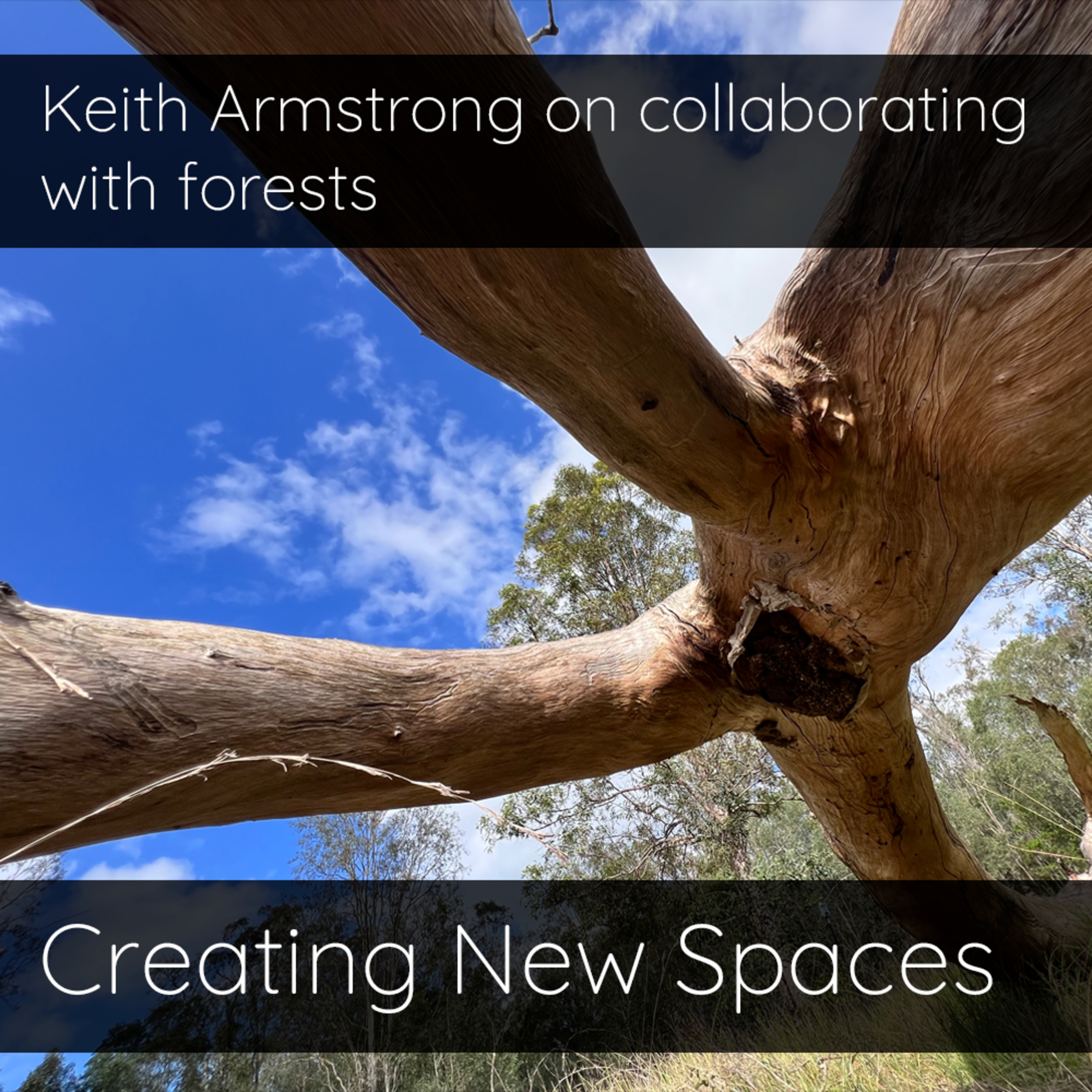 Creating New Spaces: Interviews with artists redefining spaces through technology