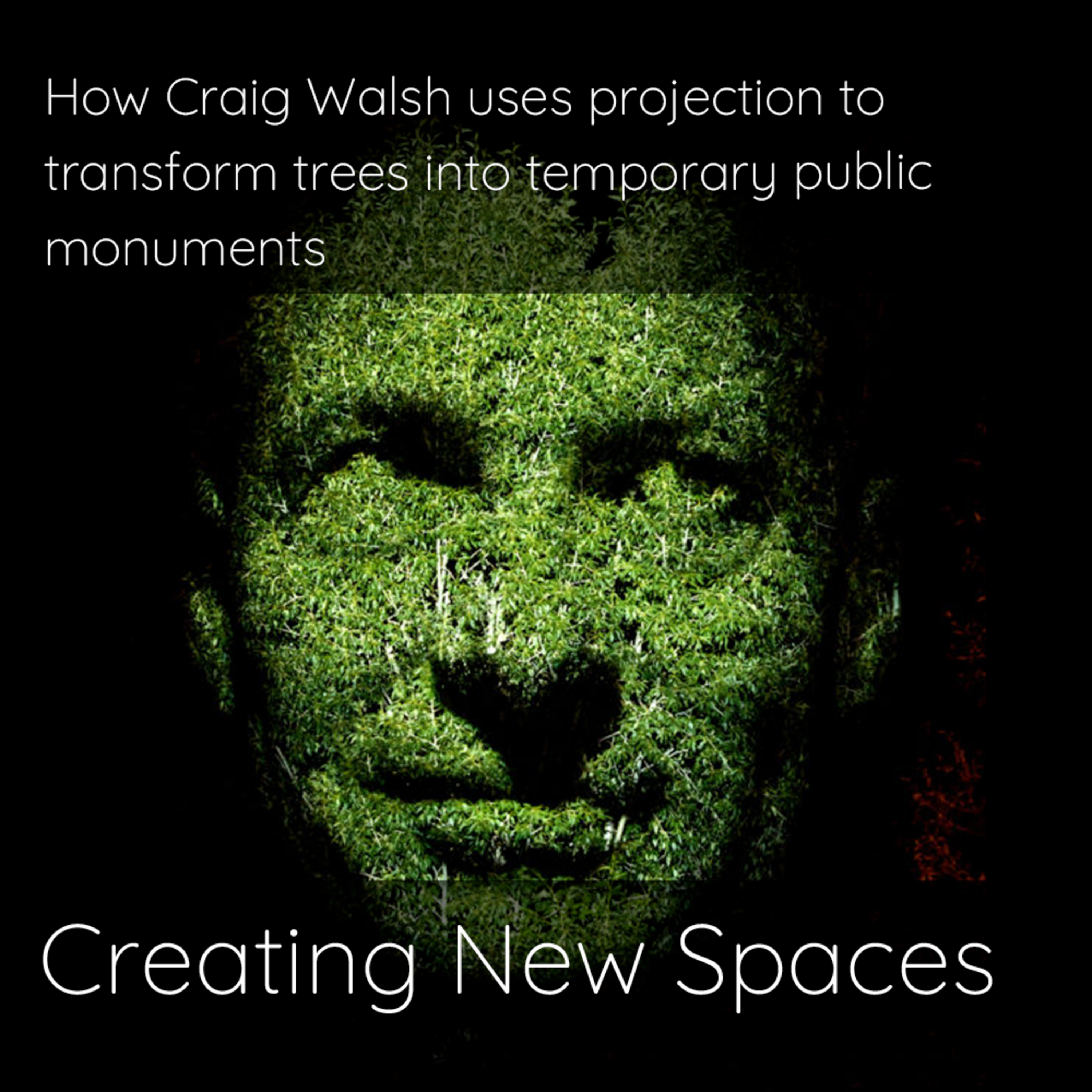 How Craig Walsh uses projection to transform trees into temporary public monuments episode artwork
