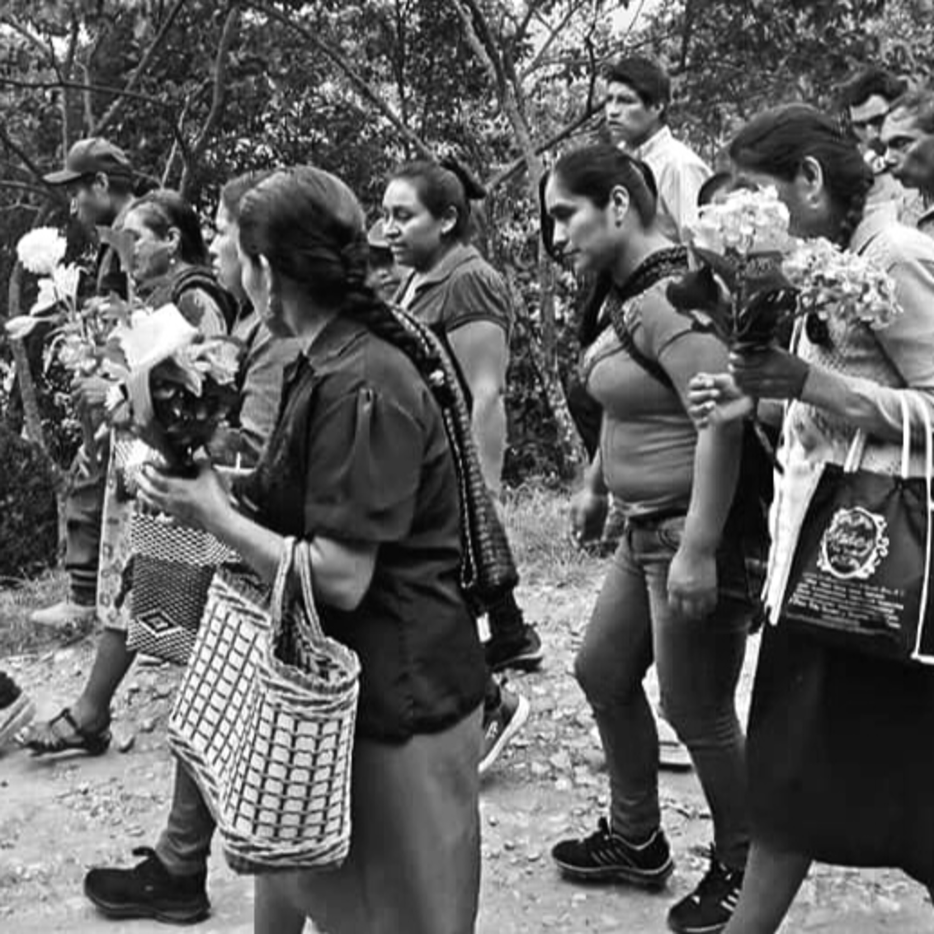 Policias asesinan a un menor en la comunidad mazateca de Eloxochitlán de Flores Magón episode artwork