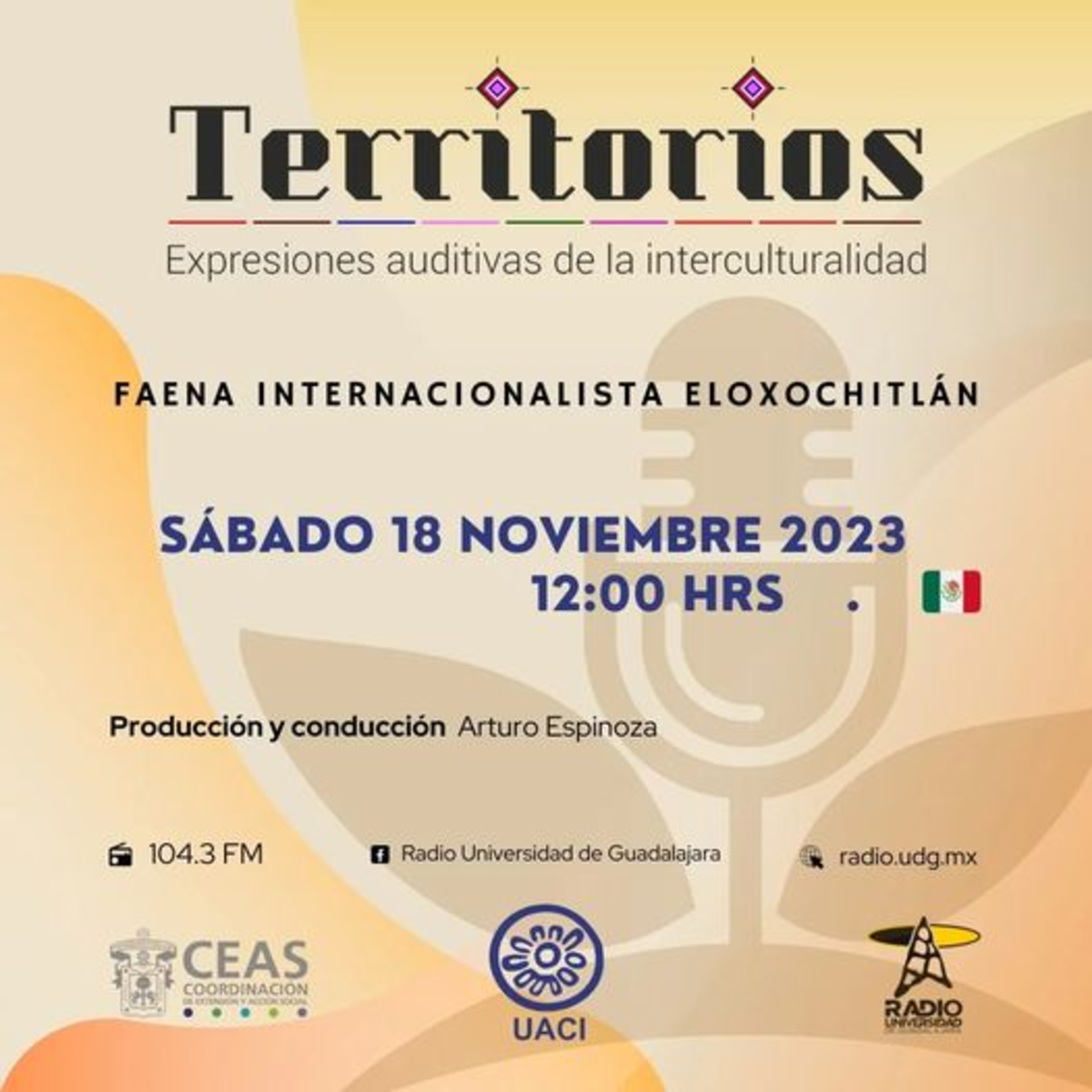 Faena Internacionalista por el Retorno en Radio UDG episode artwork