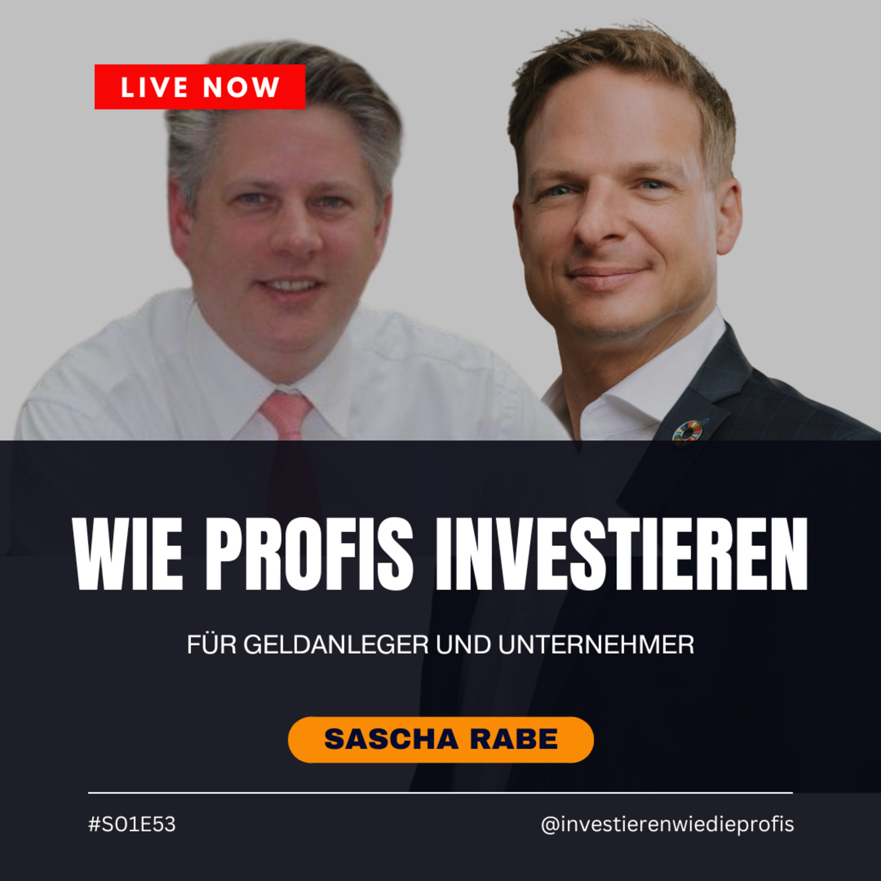 Wie Profis investieren - Für Geldanleger und Unternehmer