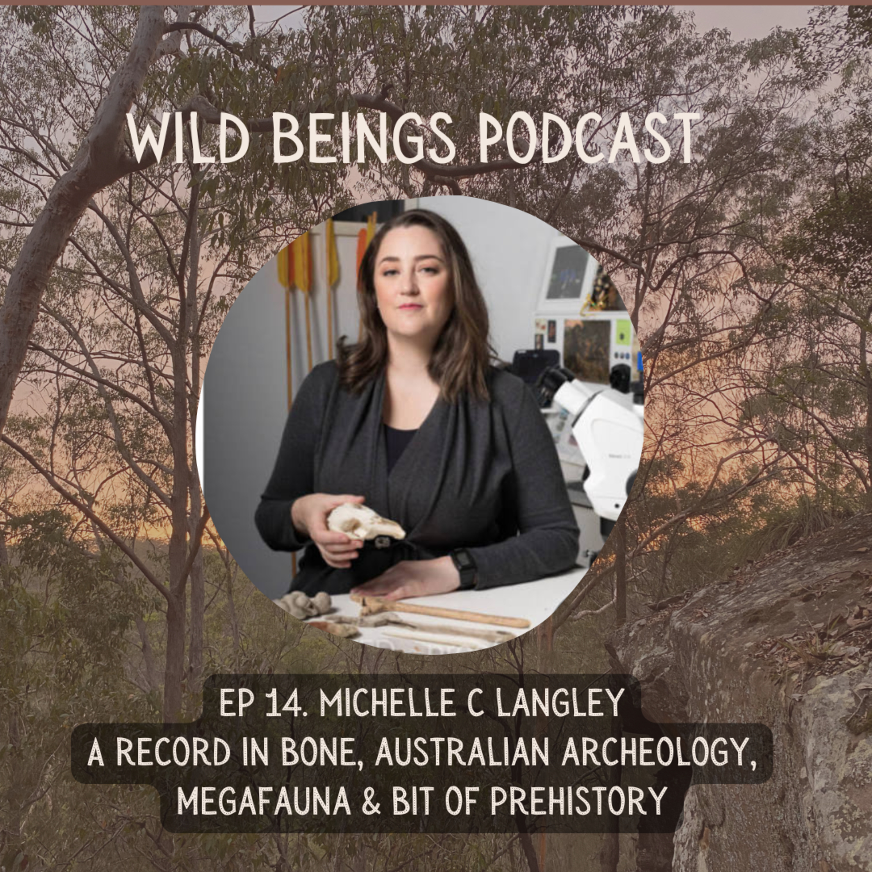 Ep 14. A Record in Bone with Michelle C Langley; australian archeology, mega fauna & a bit of prehistory! episode artwork