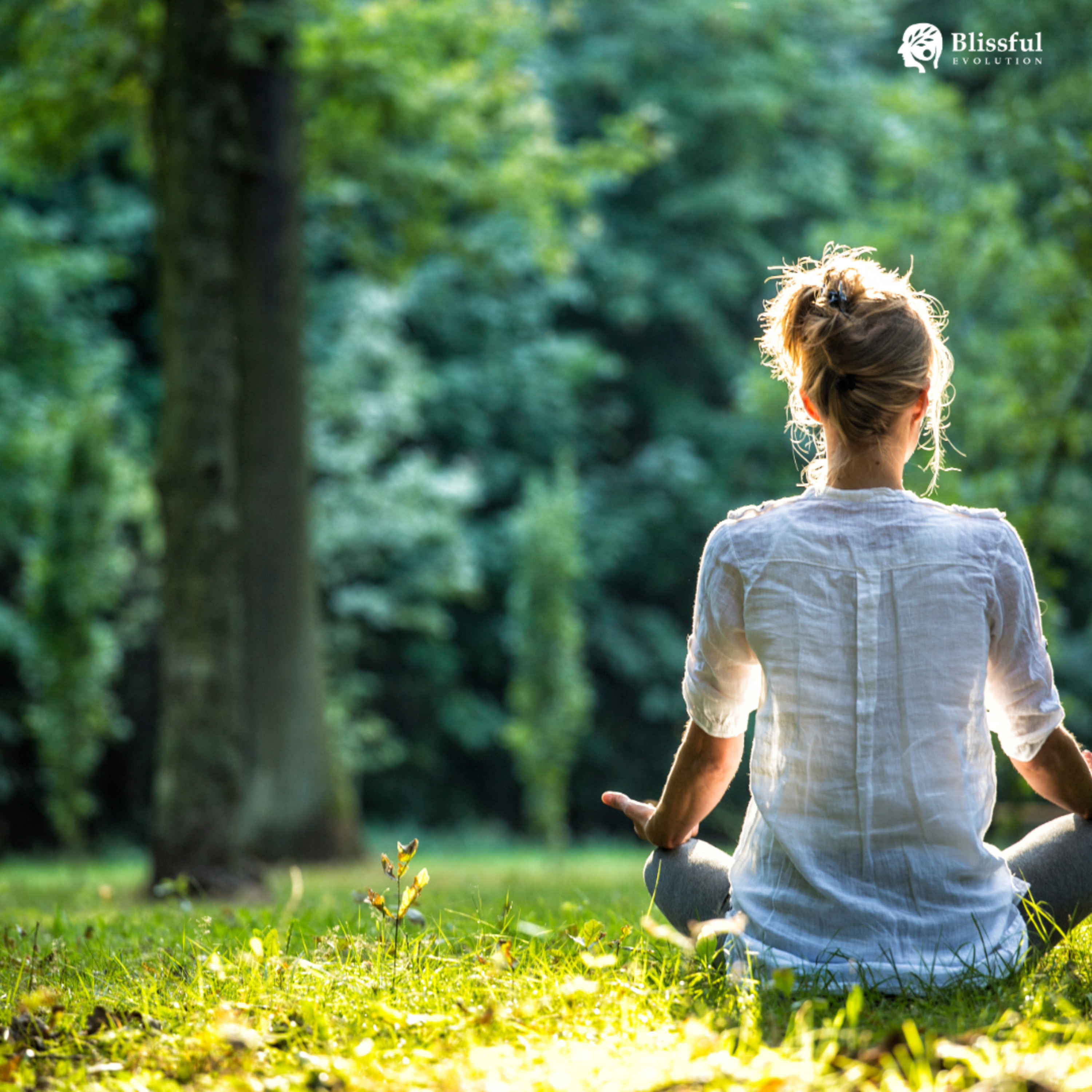 Guided Meditation for Inner Peace & Acceptance | Abi Beri | Blissful Evolution Podcast episode artwork