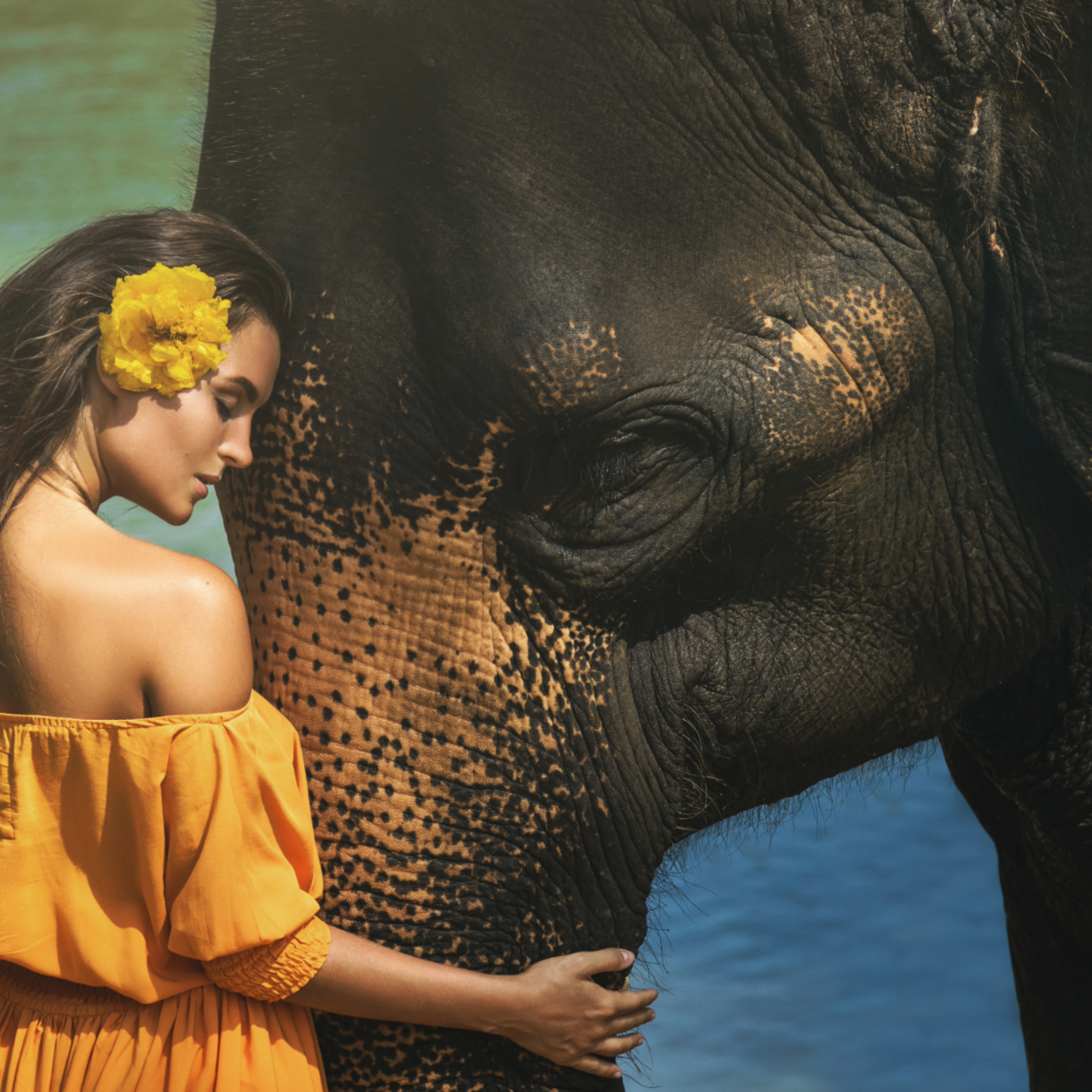 Journey to Your Spirit Animal: Unlocking Inner Wisdom with Abi Beri episode artwork
