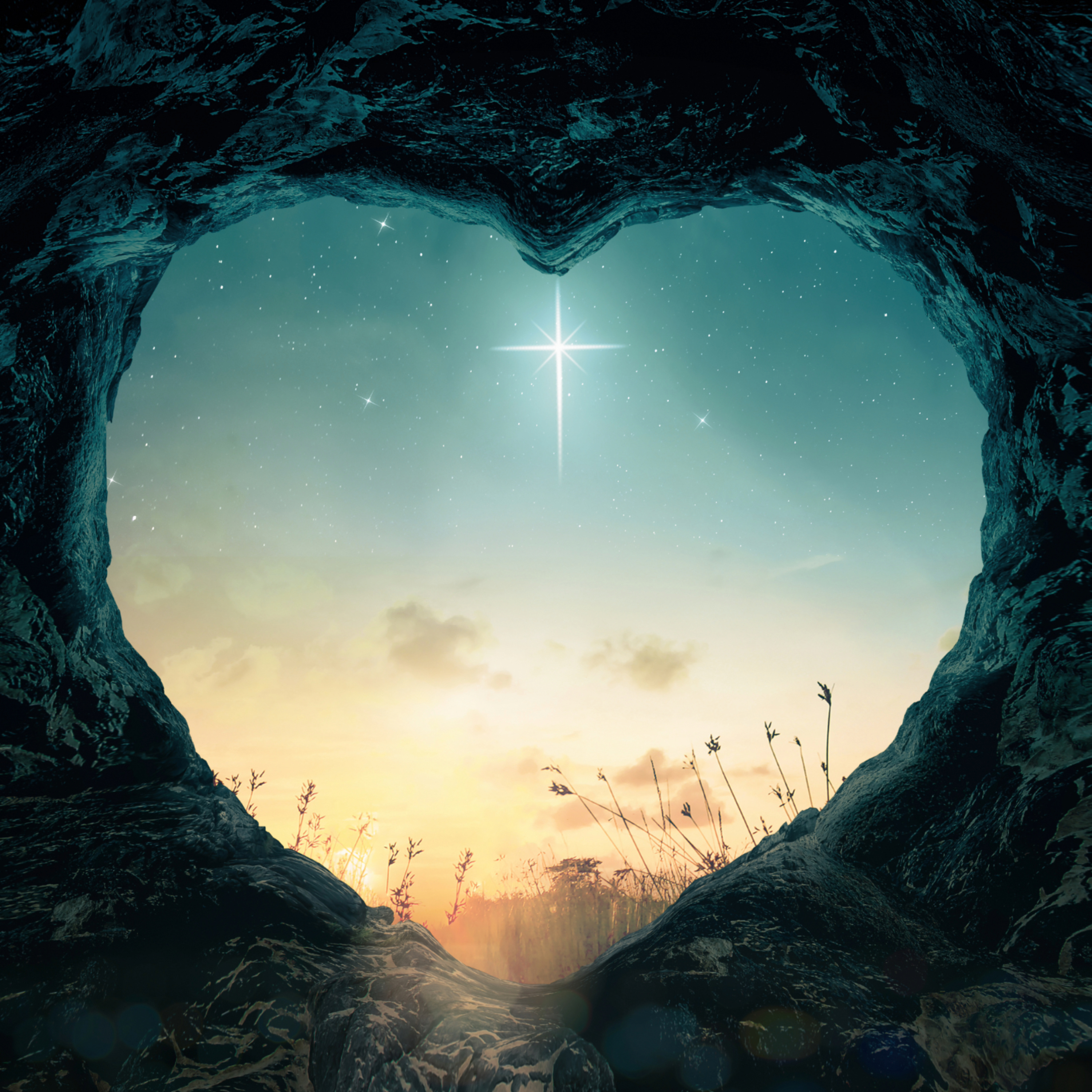 The Heart's Wisdom: Guided Meditation for Intuition & Inner Guidance episode artwork