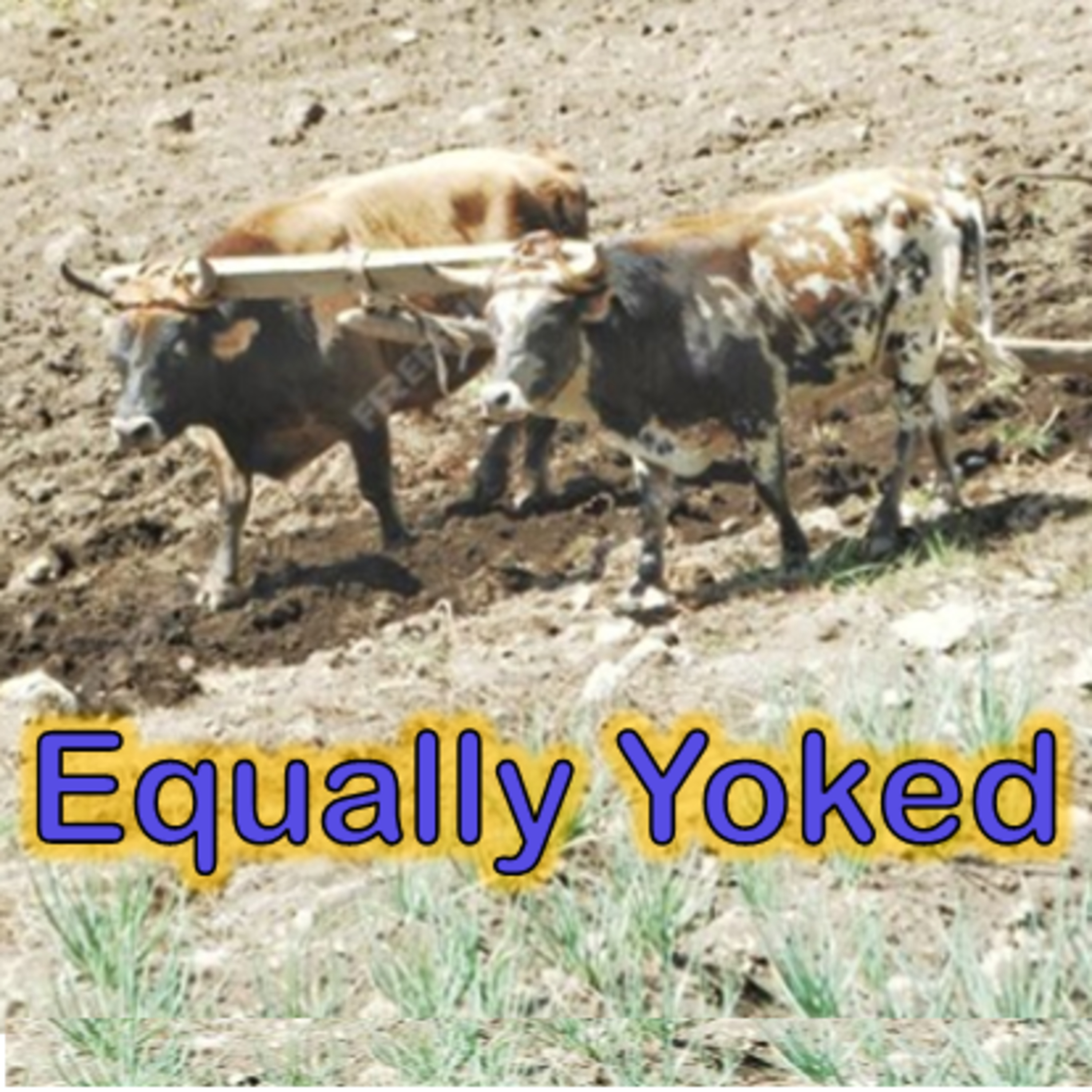 Equally Yoked episode artwork