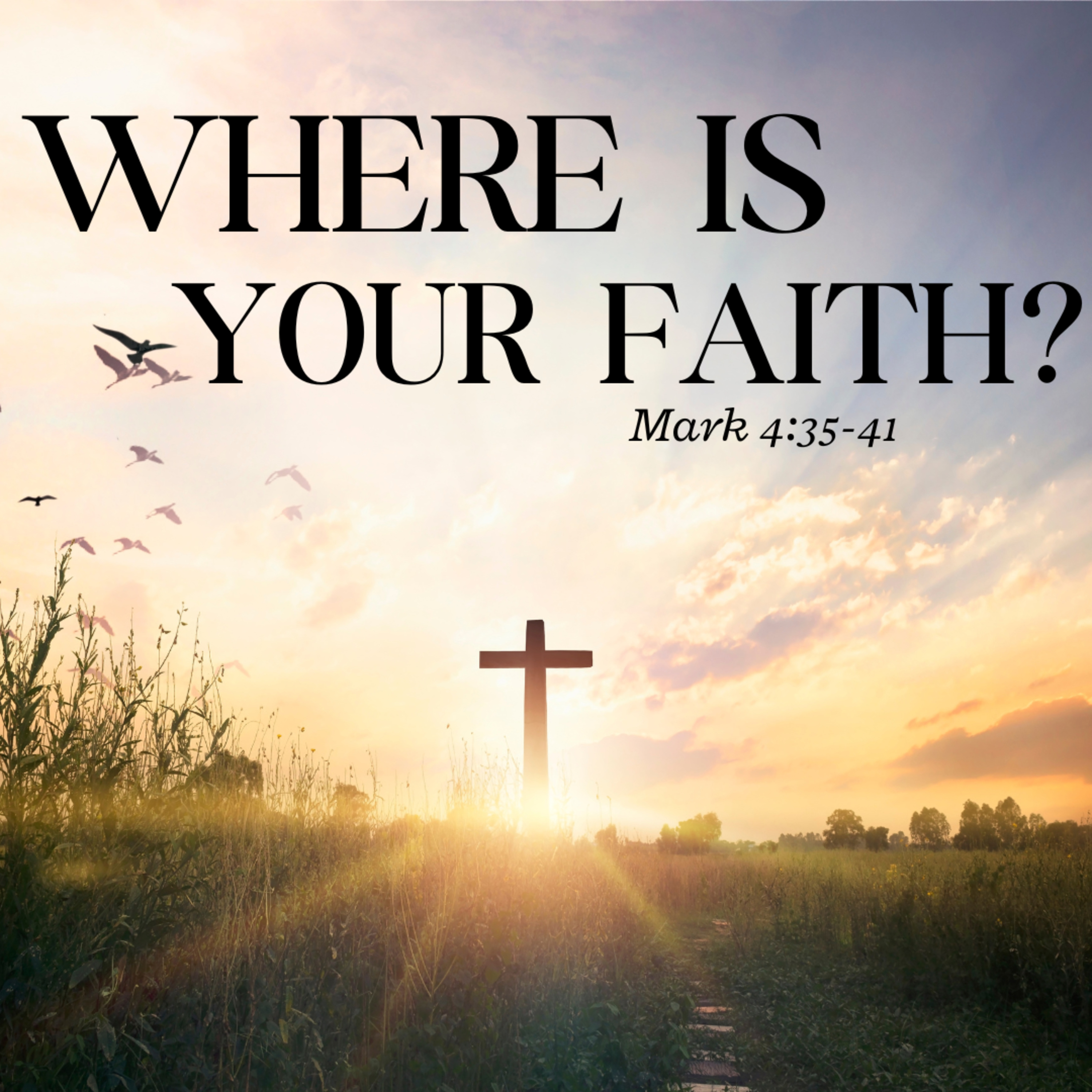 7/23/23 - "Where is Your Faith?" - Mark 4:35-41 - Dusty Stoey, Senior Pastor episode artwork