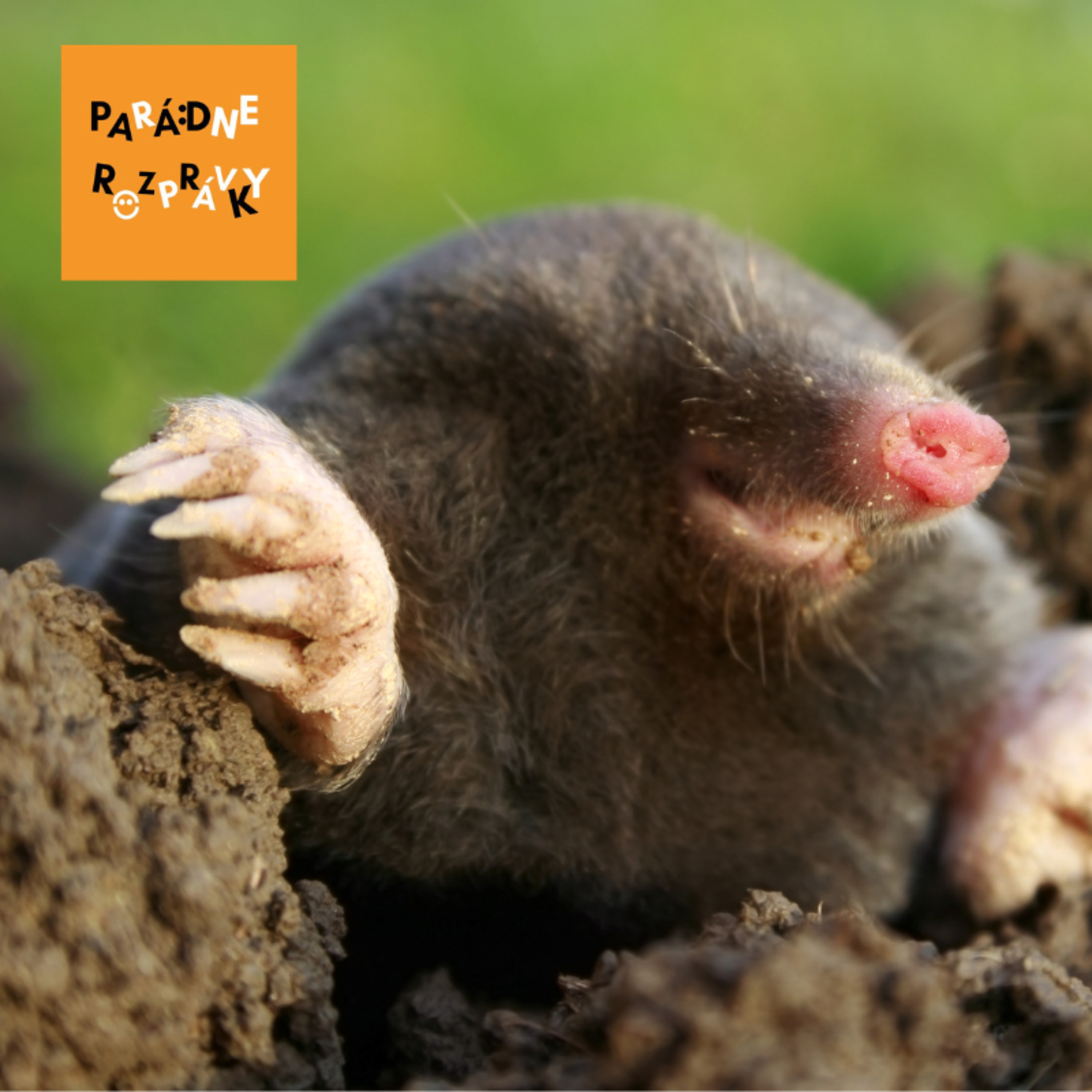 Parádne rozprávky