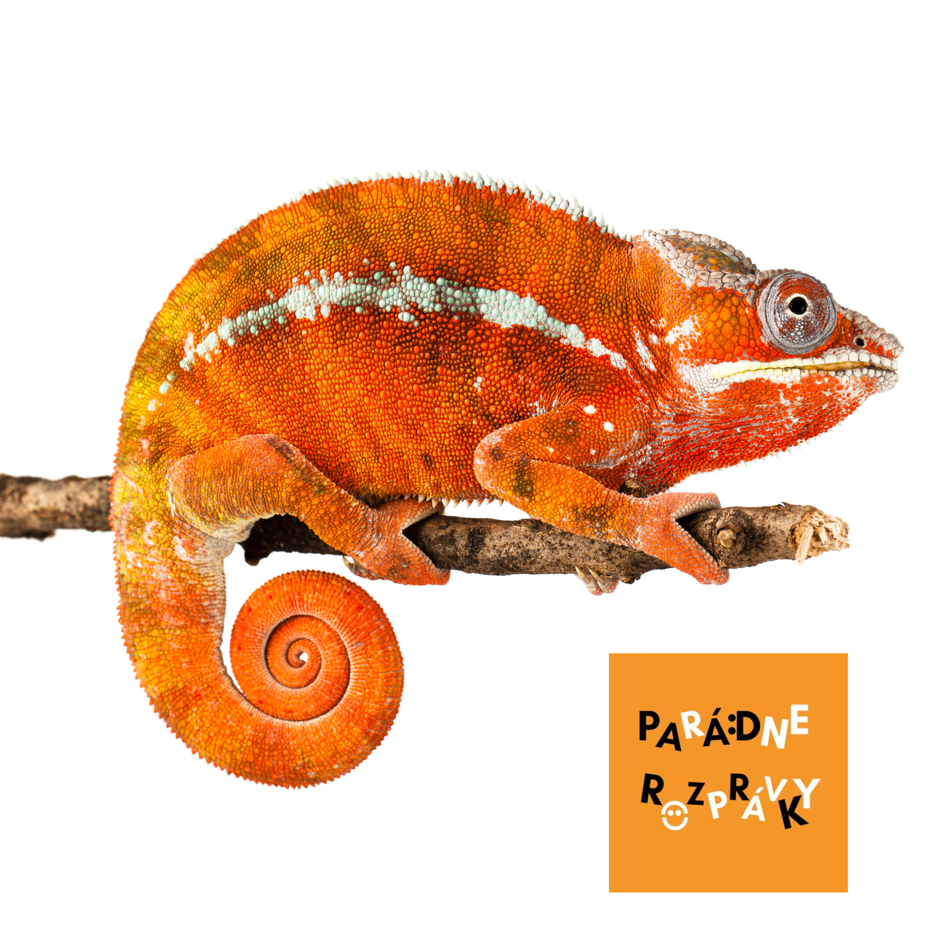 Parádne rozprávky