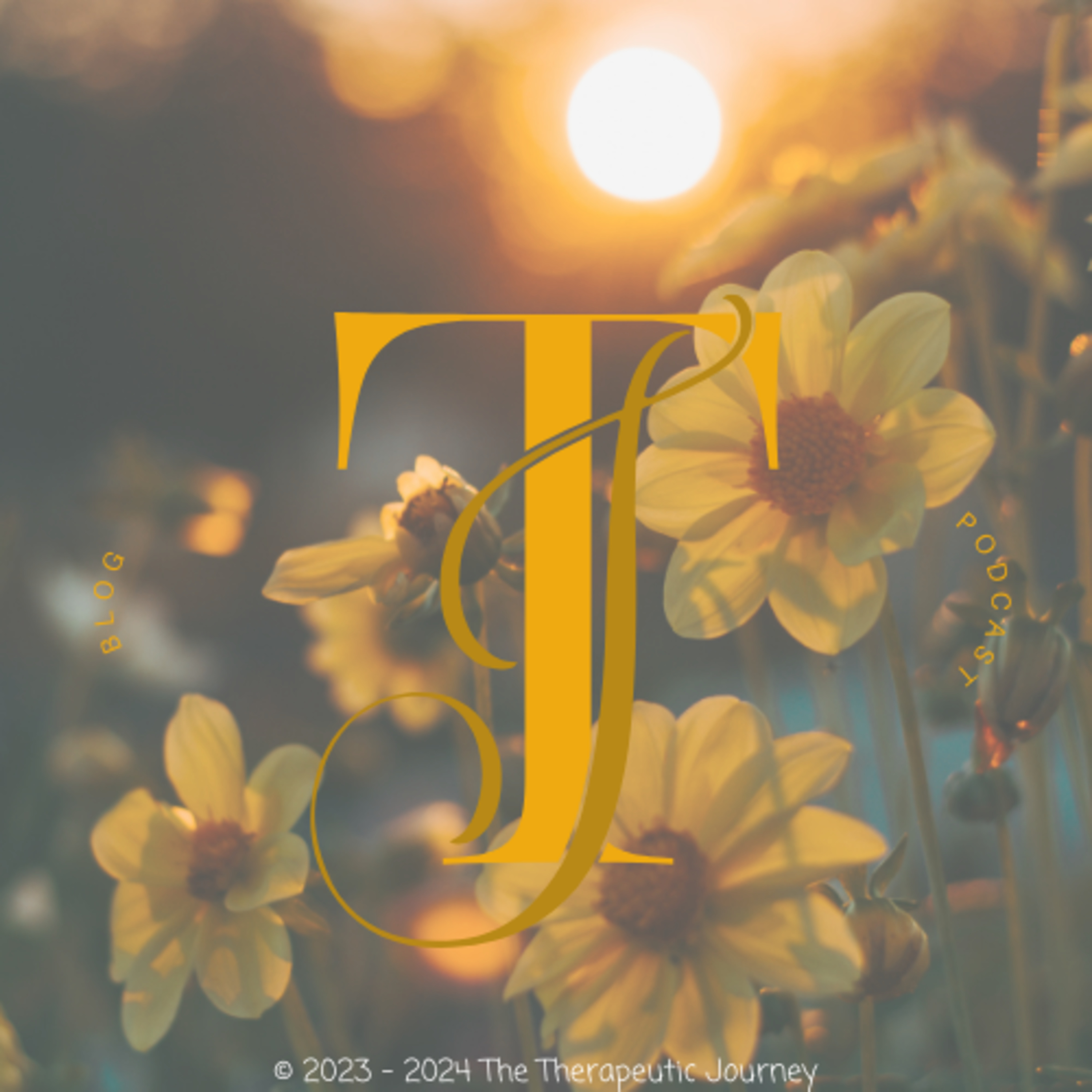 The Therapeutic Journey