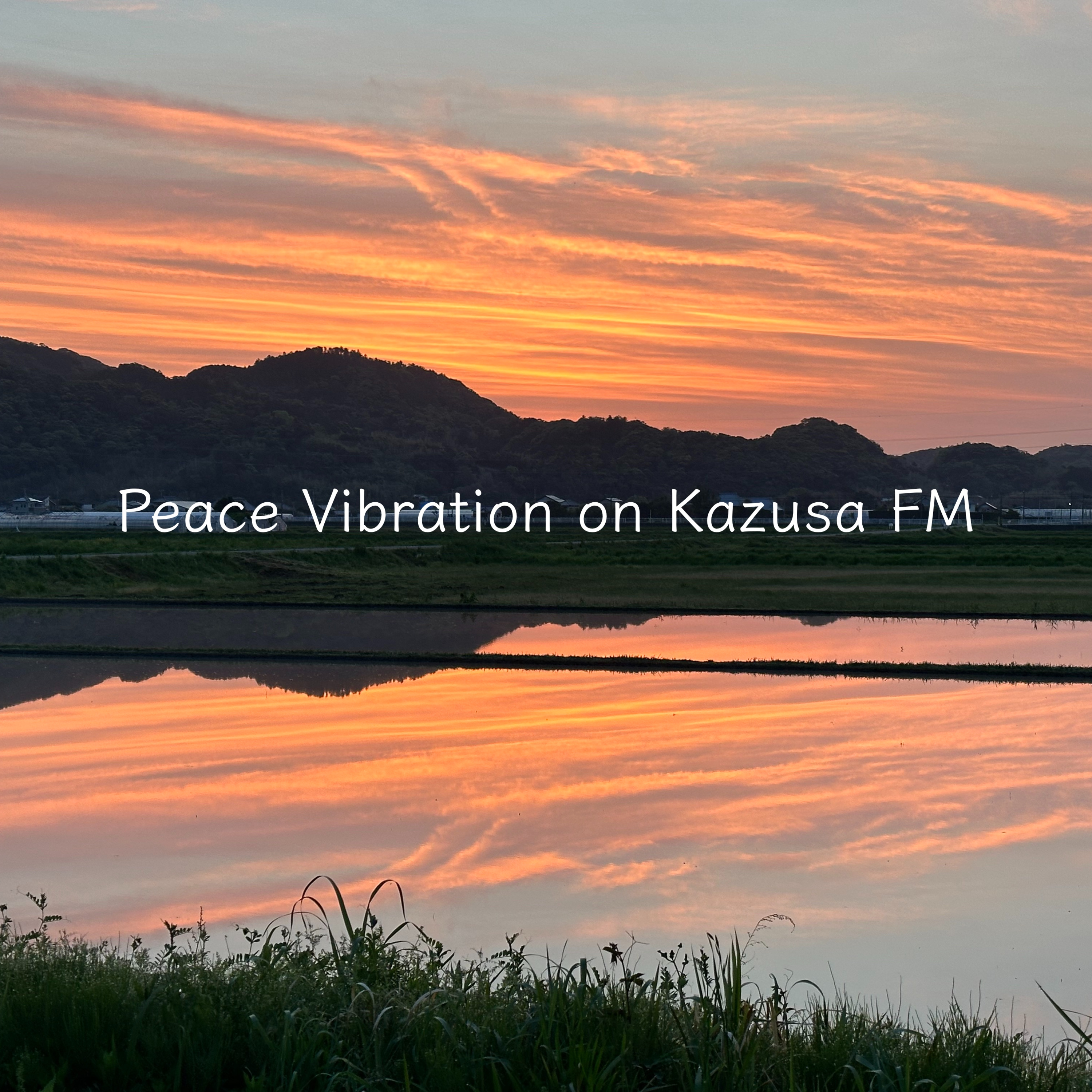 2024年4月20日 Peace Vibration with 山口惠子 episode artwork