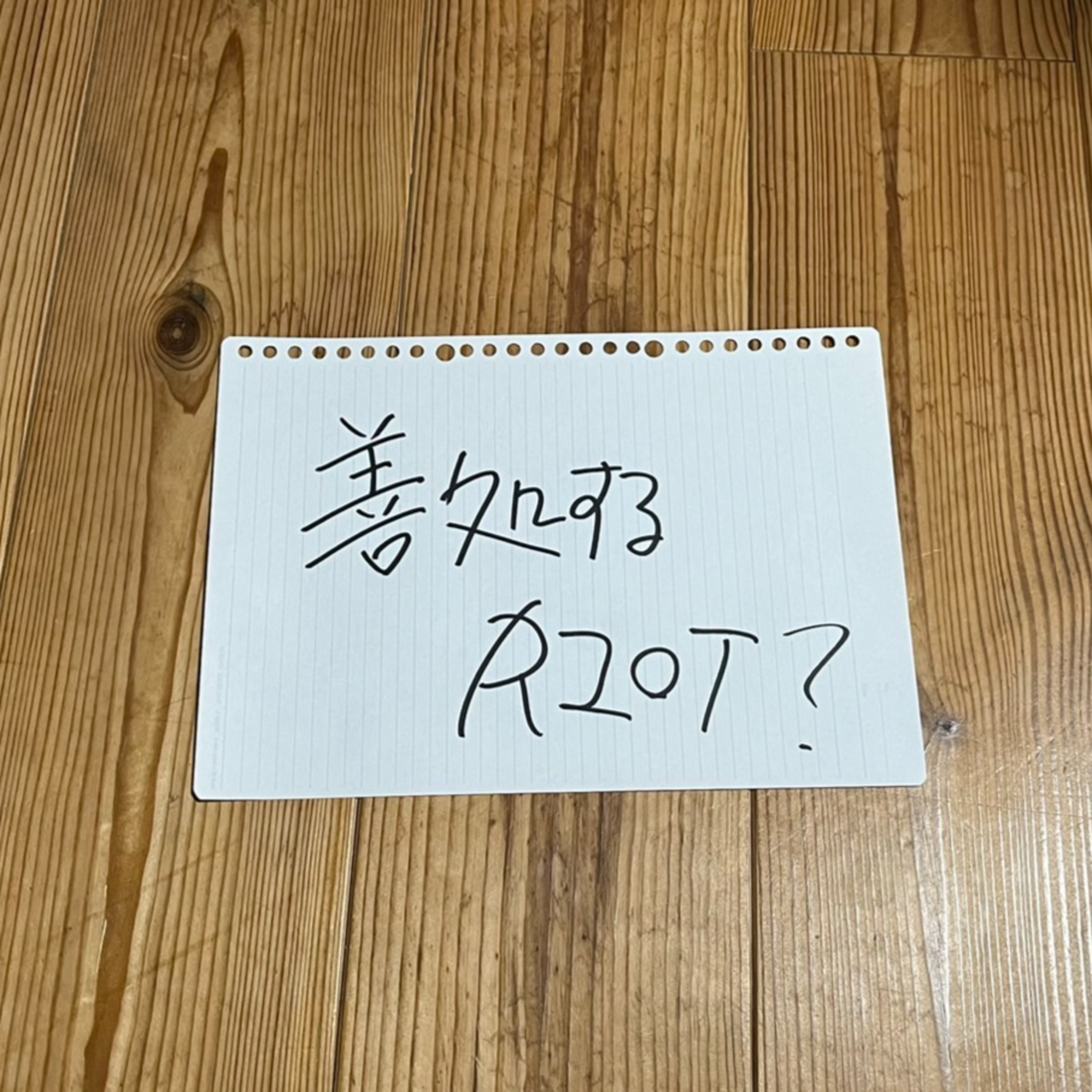 第88回「善処するRIOT？」 episode artwork