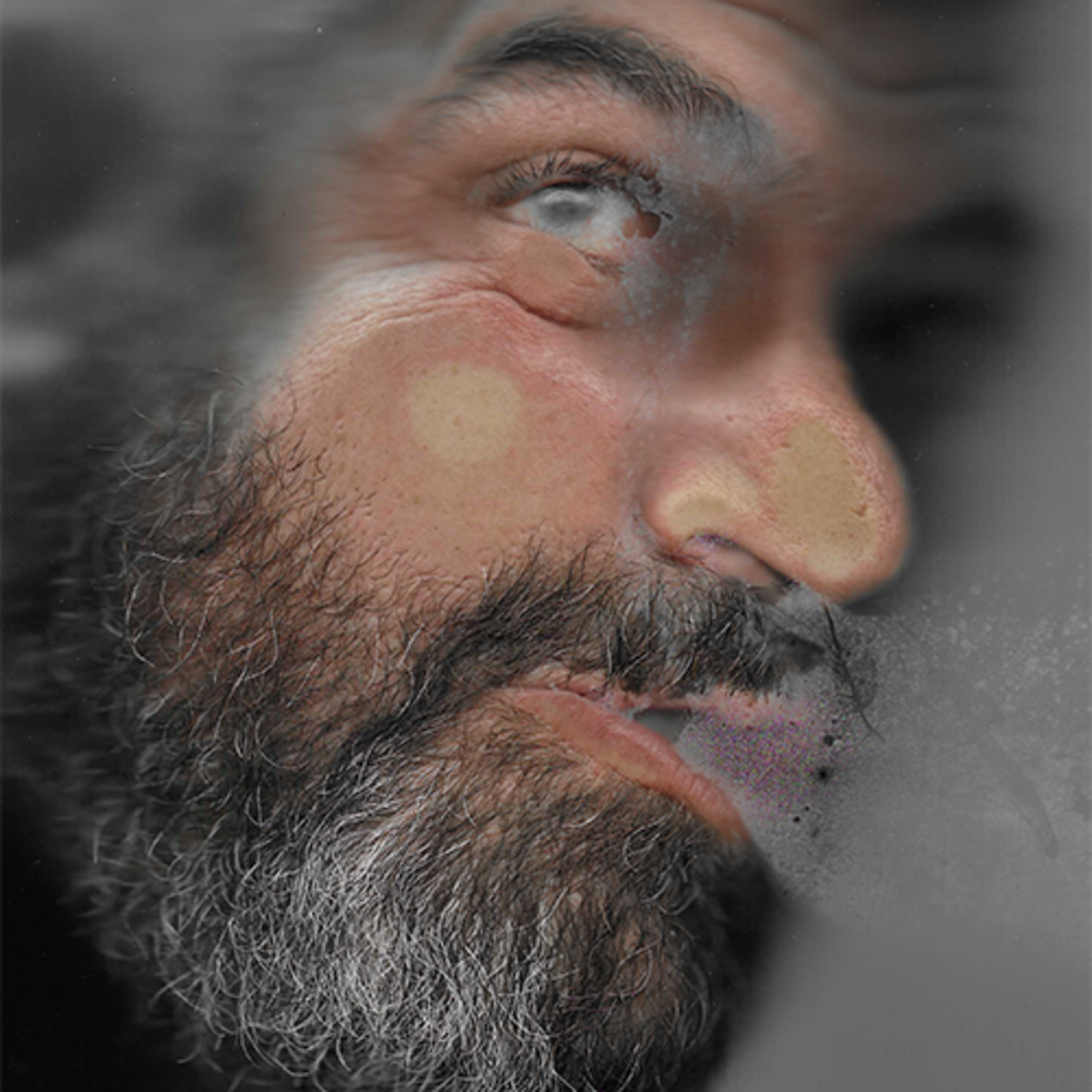 CONVERSAS COM O VELHO BAVA