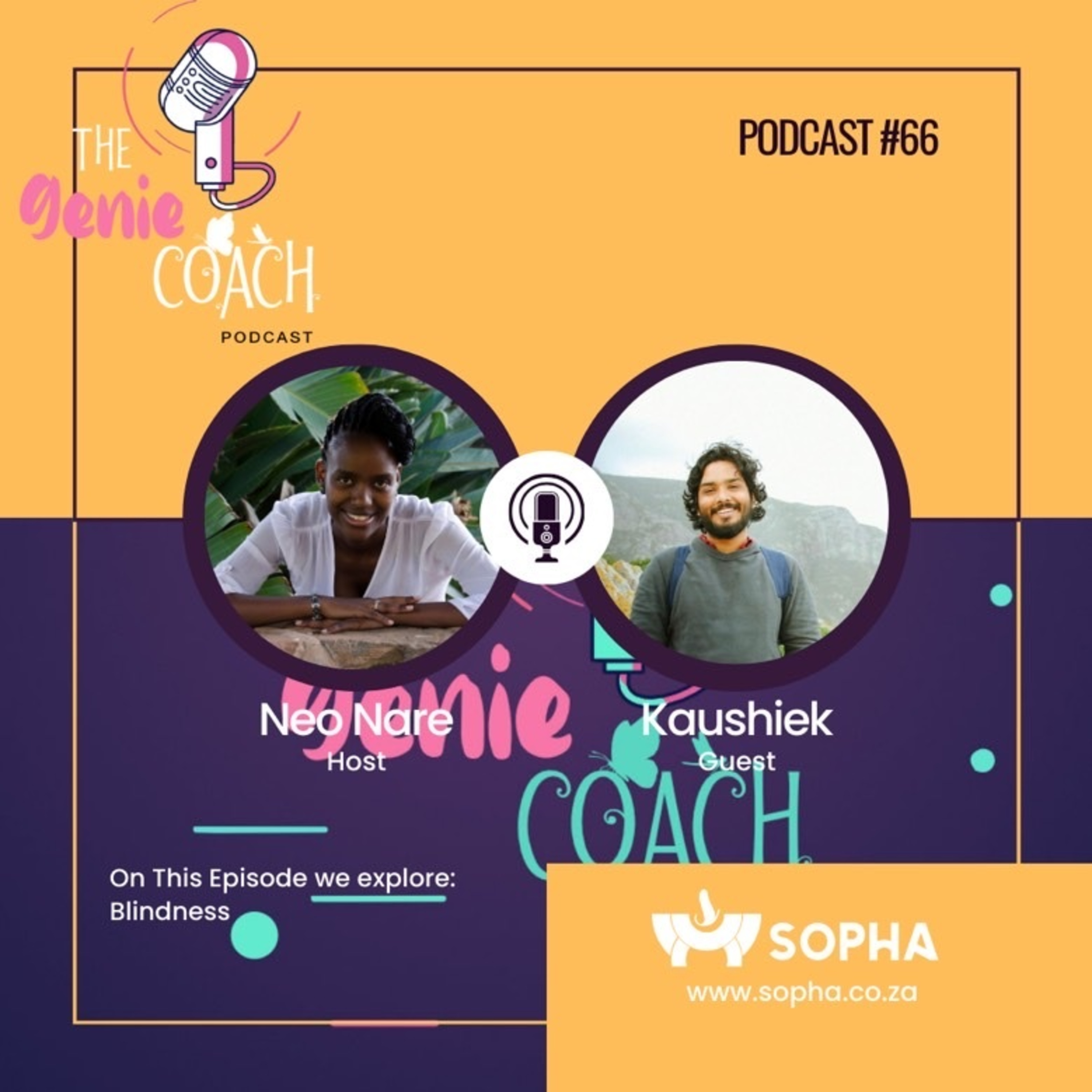 Episode 66: Blindness with Kaushiek