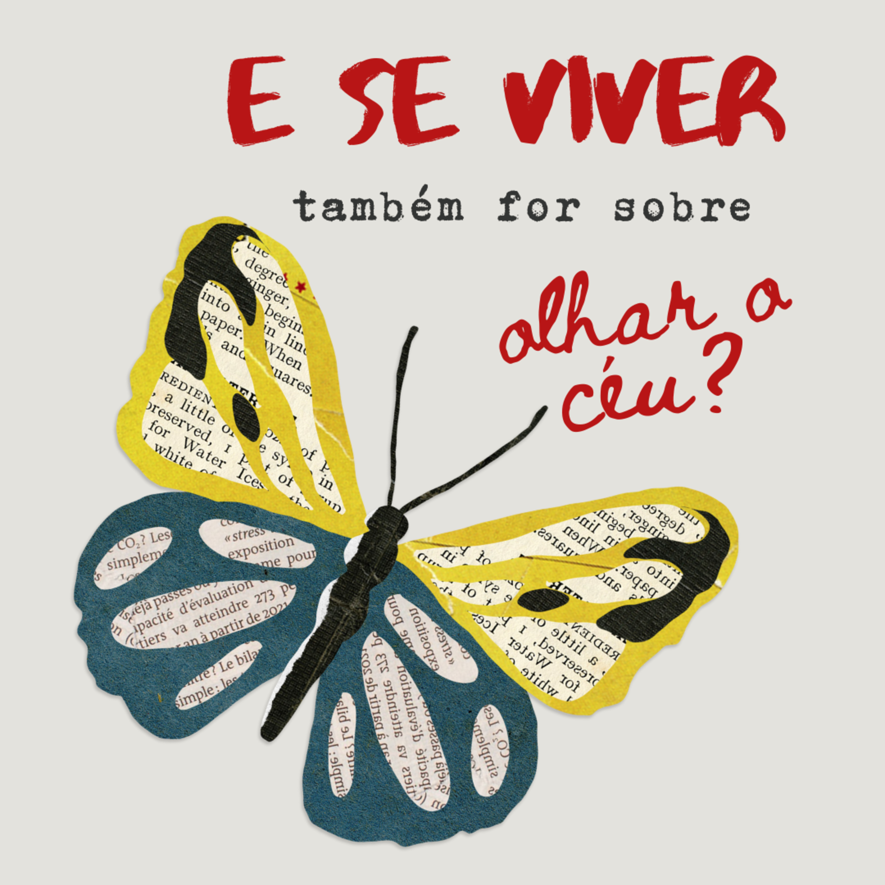 Tudo é propósito, será?