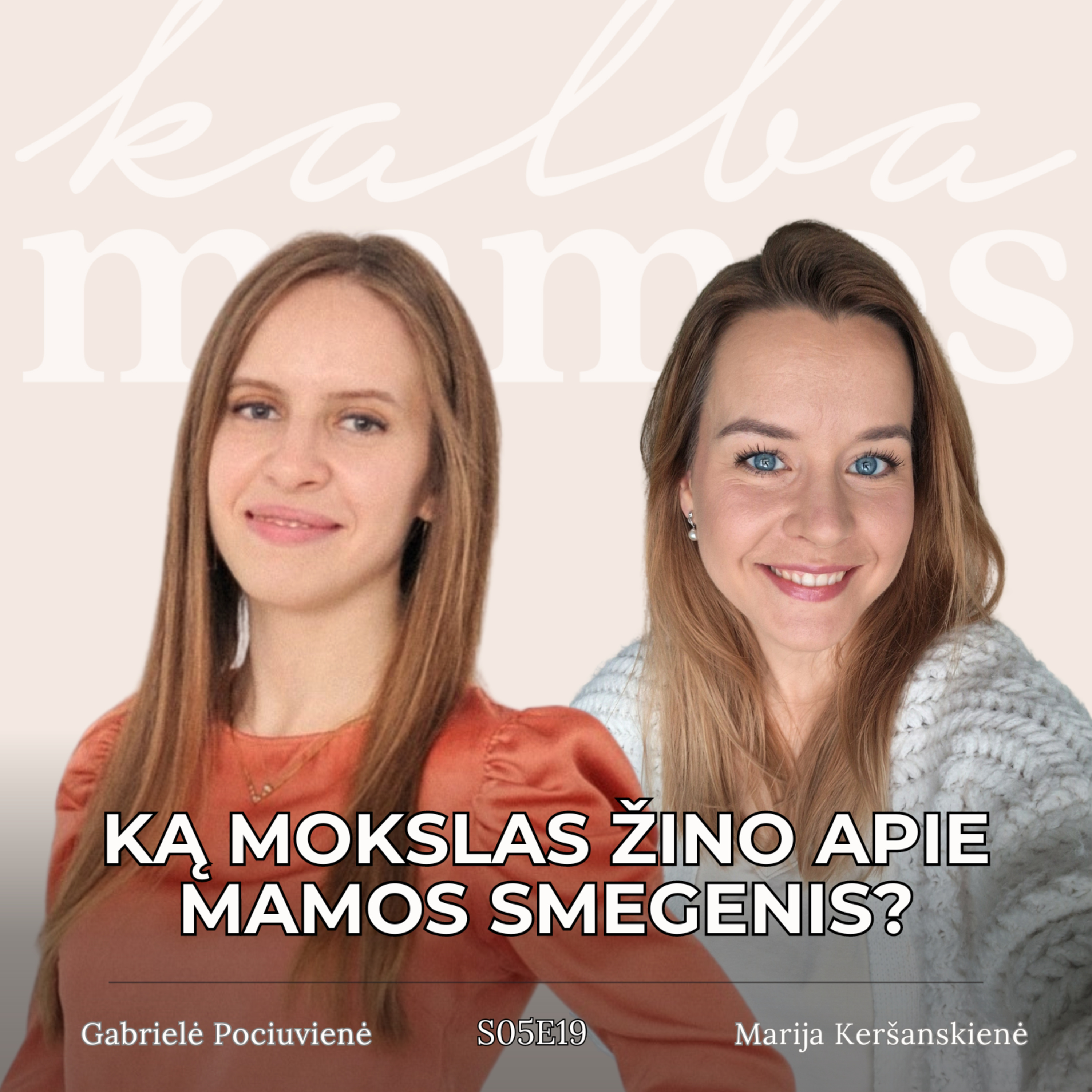 [S05E19] Gabrielė Pociuvienė: Ką mokslas žino apie mamos smegenis? episode artwork