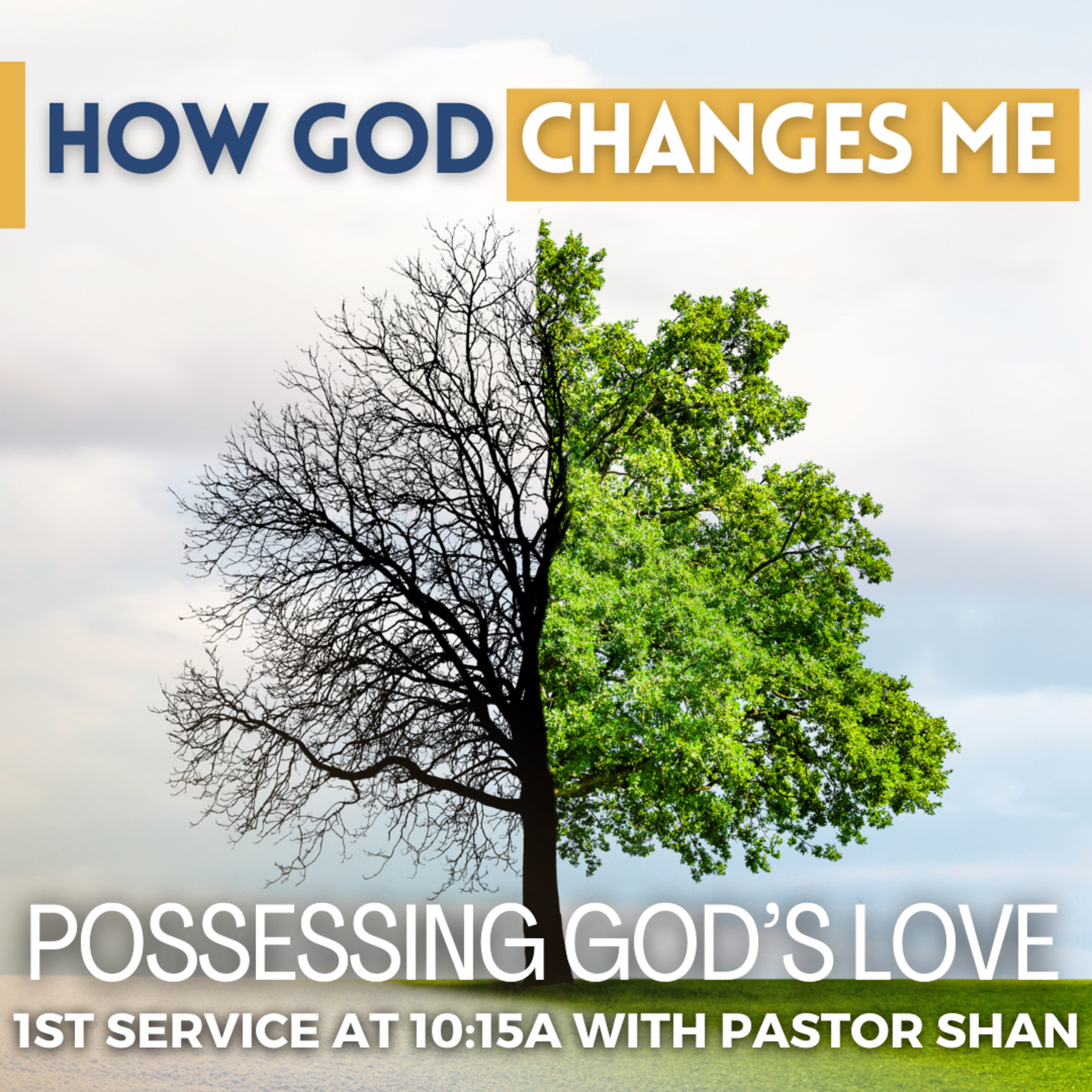Possessing God's Love with Pastor Shan episode artwork