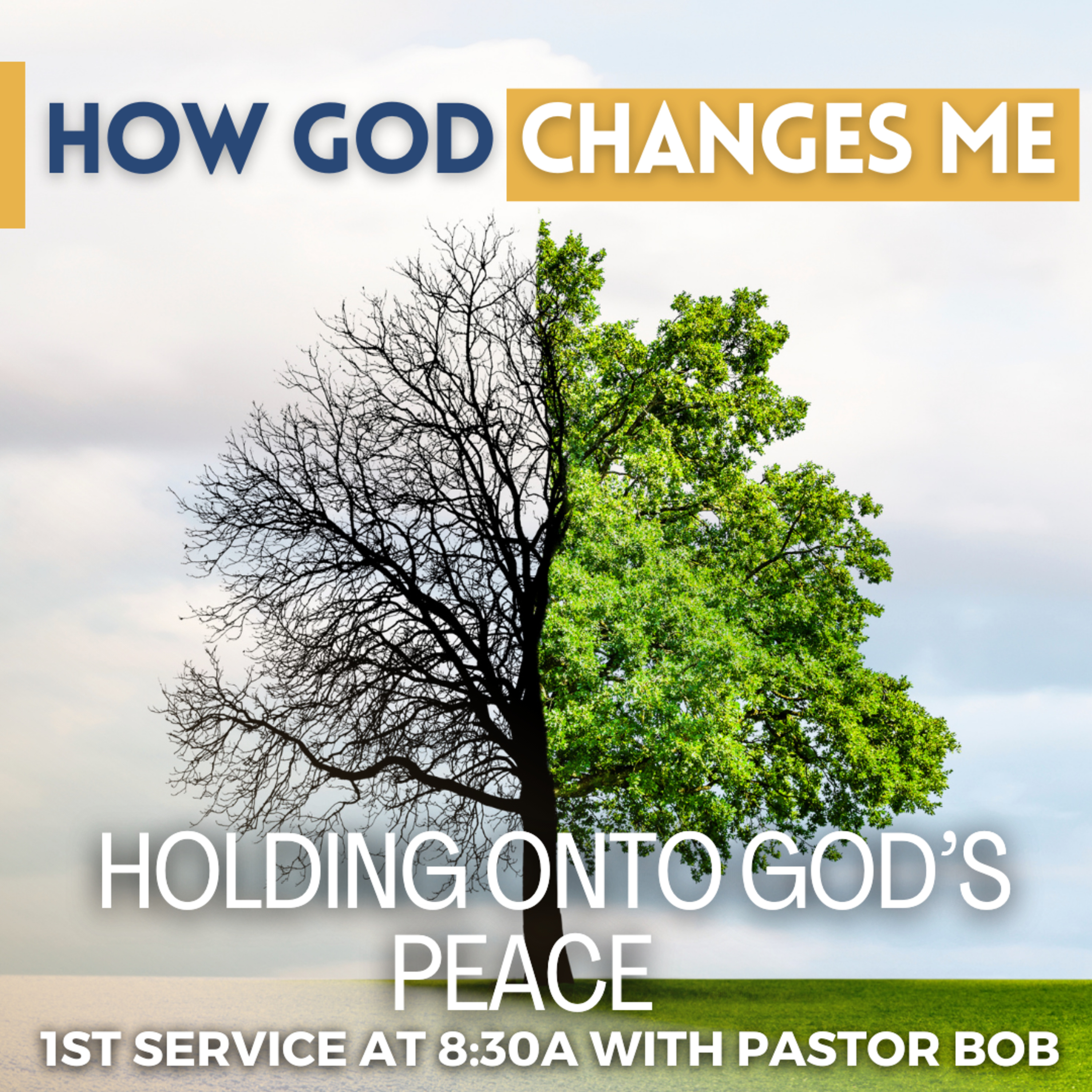 Holding On to God's Peace with Pastor Bob episode artwork