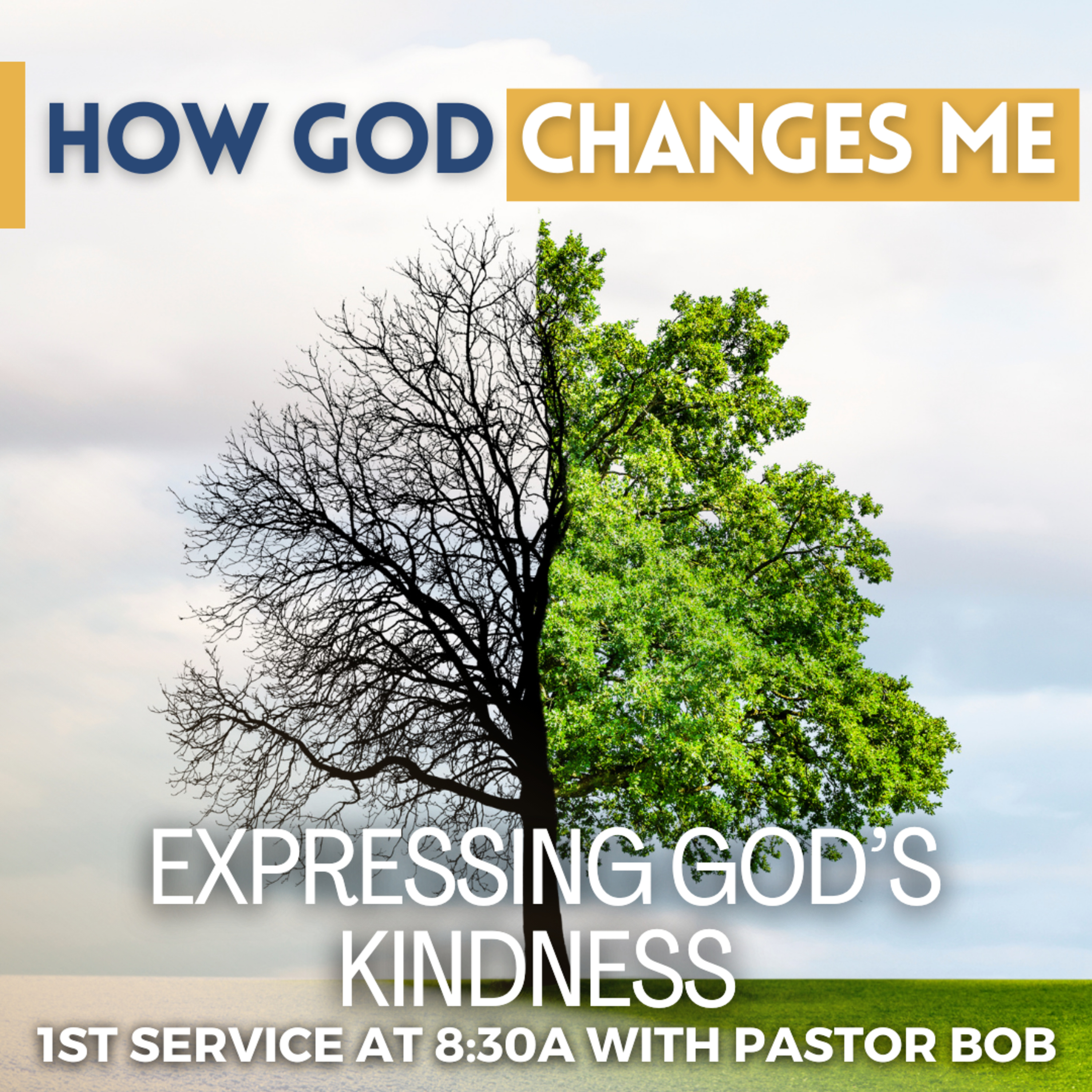 Experiencing God's Kindness with Pastor Bob episode artwork