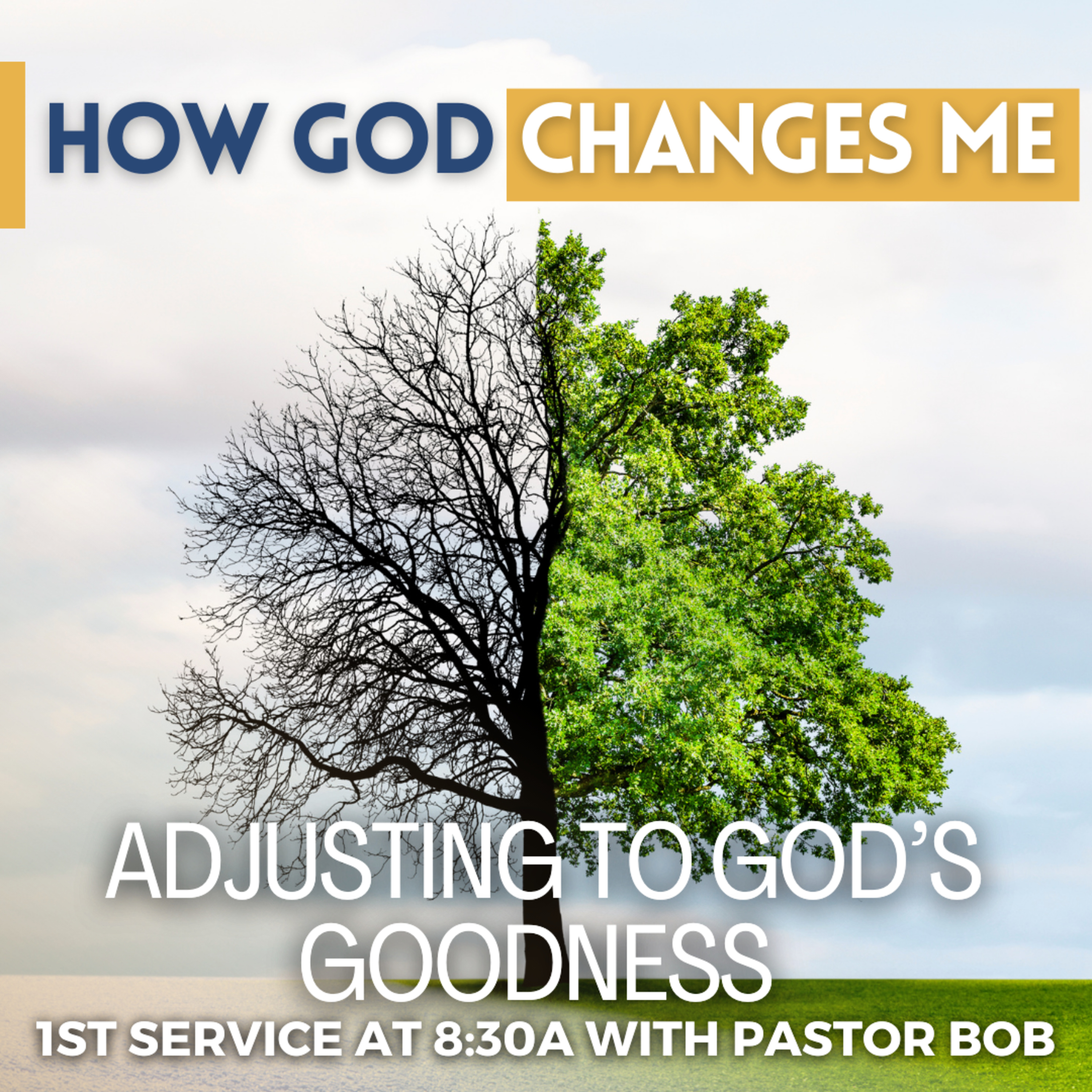 Adjusting To God's Goodness with Pastor Bob episode artwork
