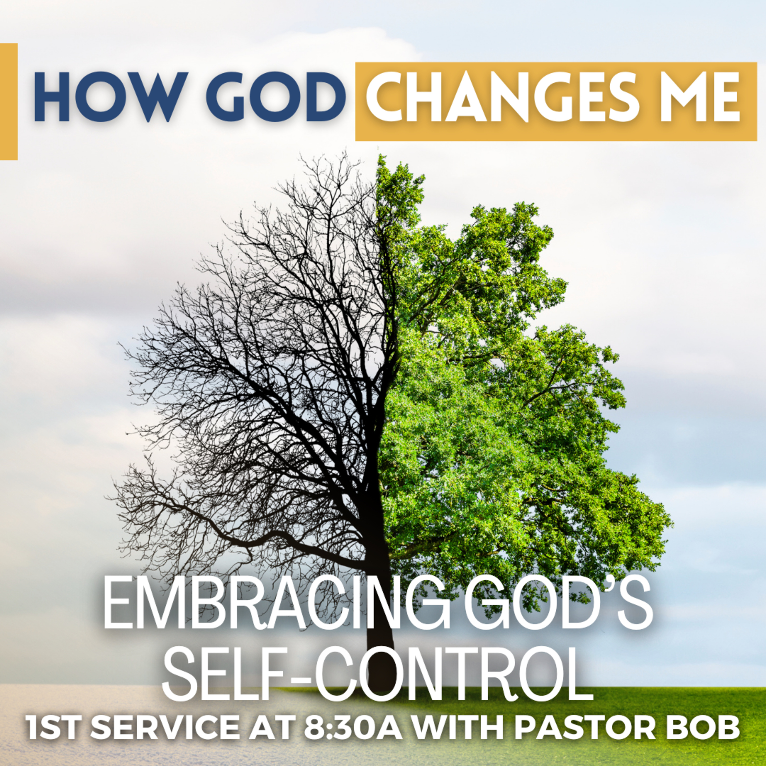 Embracing God's Self-Control with Pastor Bob episode artwork