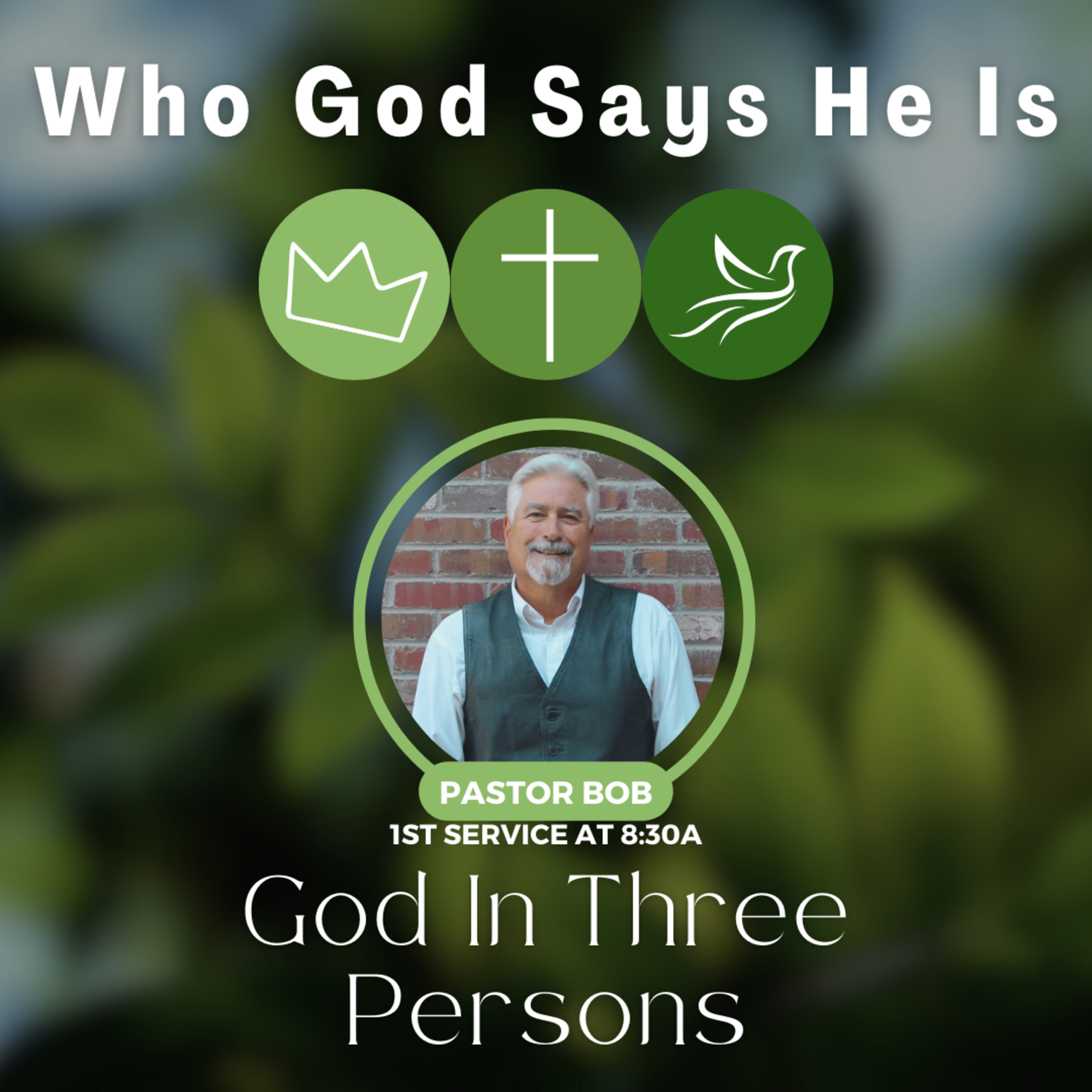 God in Three Persons with Pastor Bob episode artwork