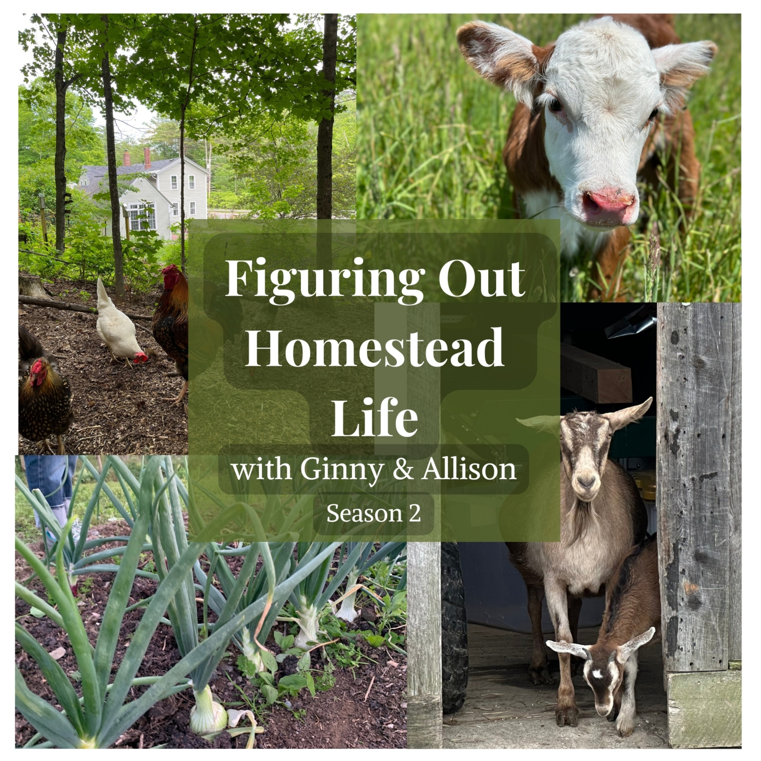 Ready, Set, Grow! Season 2, Ep 6