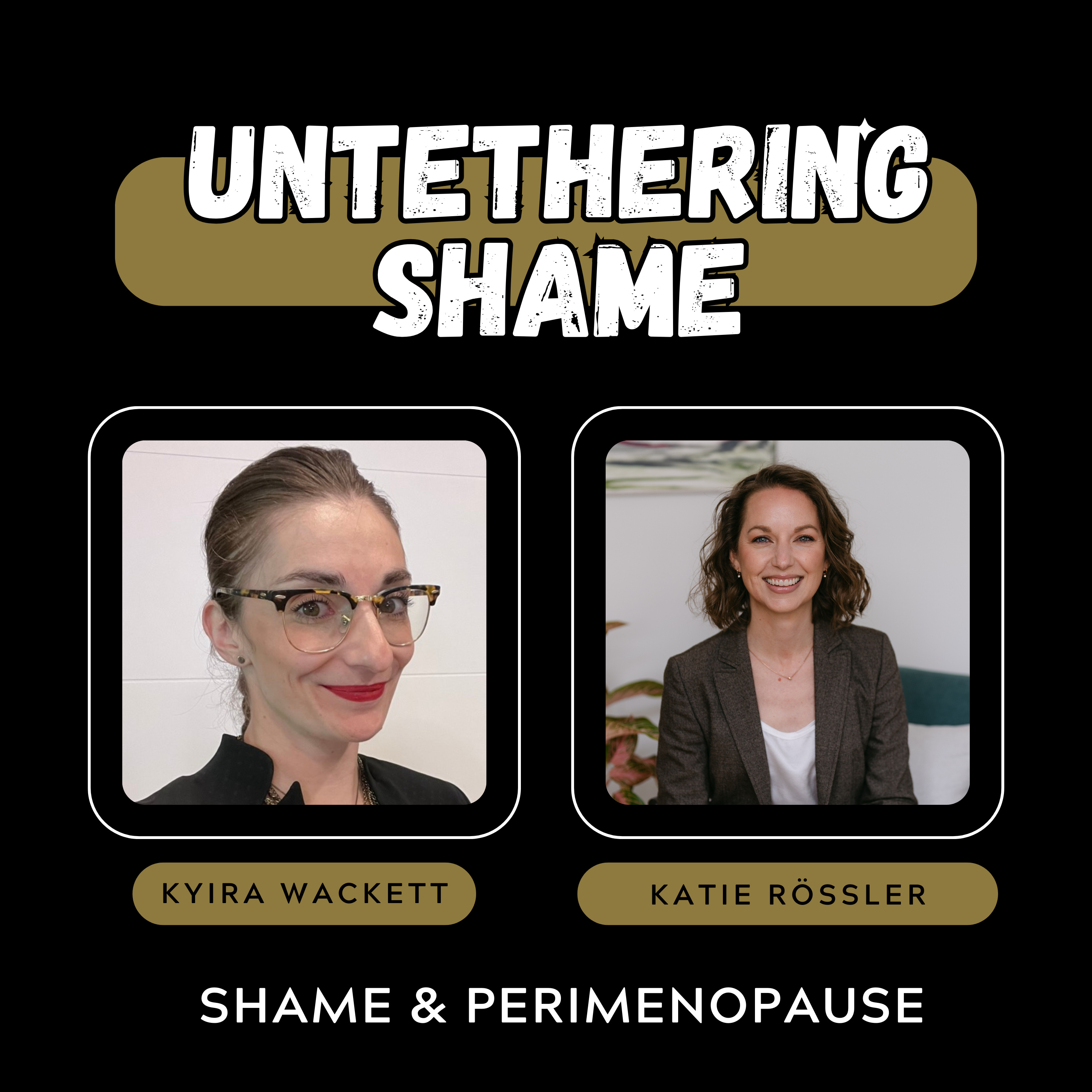 Shame & Perimenopause: Breaking the Silence and Embracing the Evolution episode artwork