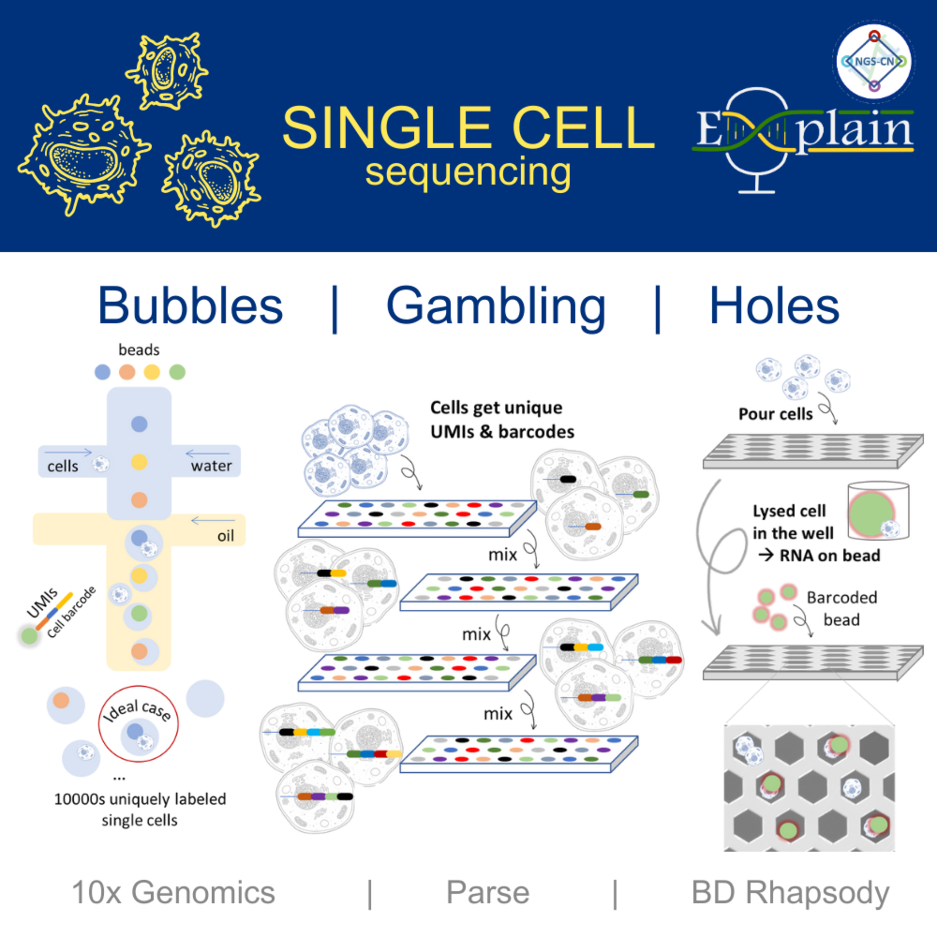 E9: Single Cell Sequencing