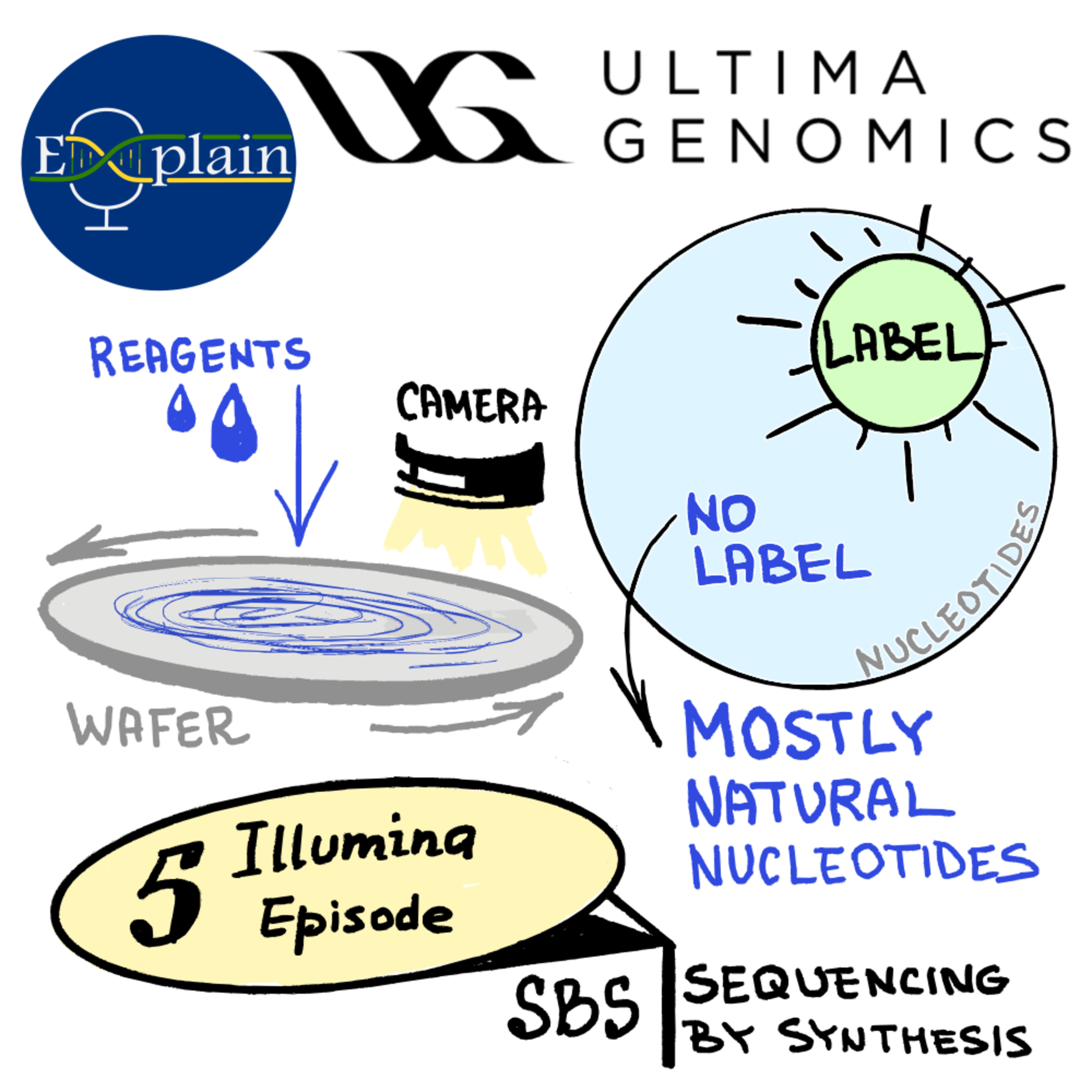 E14: Ultima Genomics + Element UltraQ